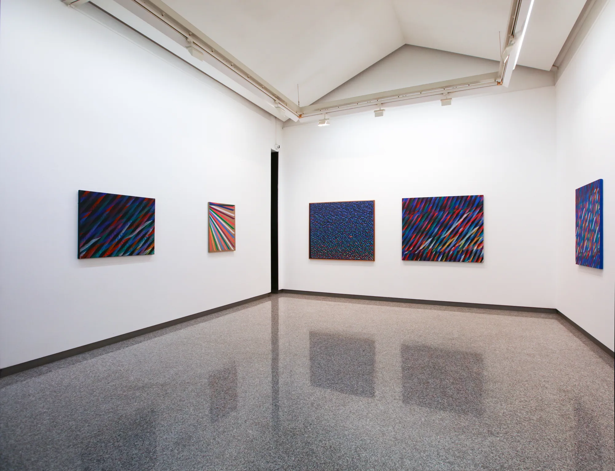 Veduta della mostra.