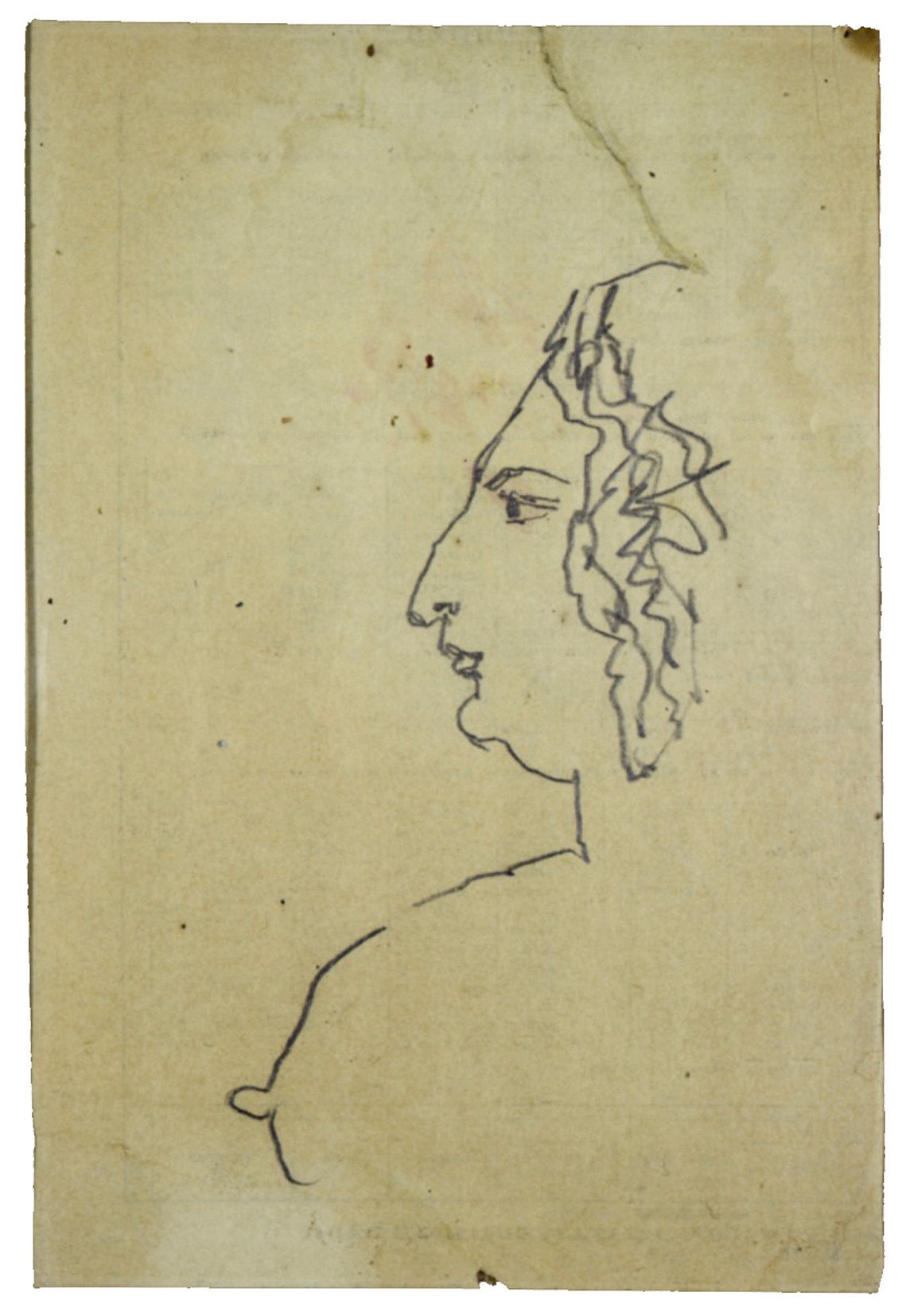 Profilo donna (Nanny), 1936 ca, grafite su foglio di censimento del 1936, cm 21,7X10,5