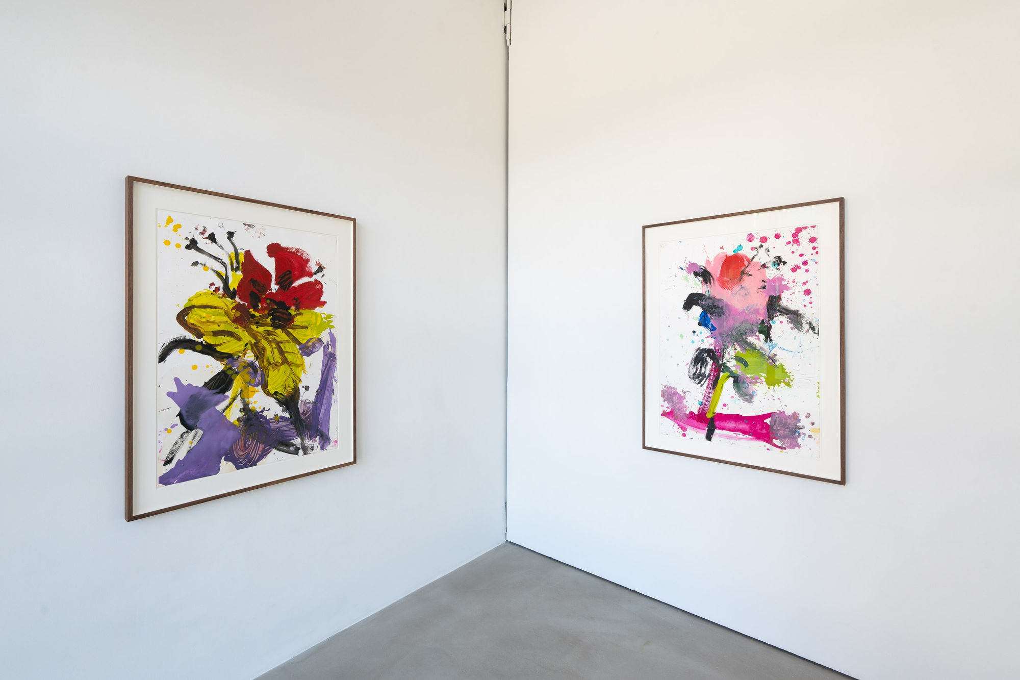 JORGE GALINDO | CAMBISTA TESTA 9.5.2024 - 20.6.2024