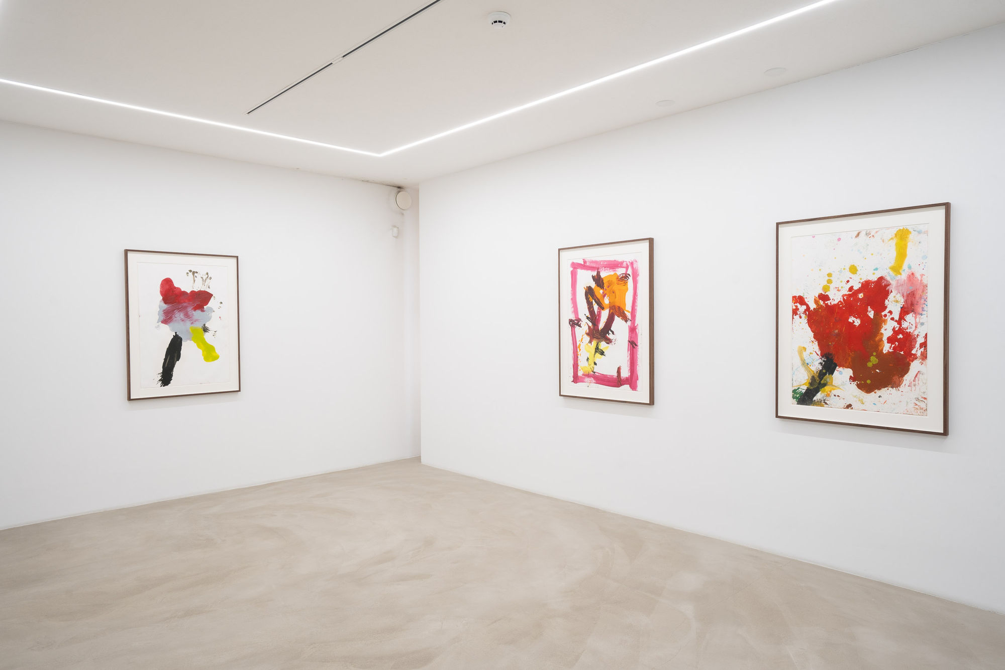 JORGE GALINDO | CAMBISTA TESTA 9.5.2024 - 20.6.2024