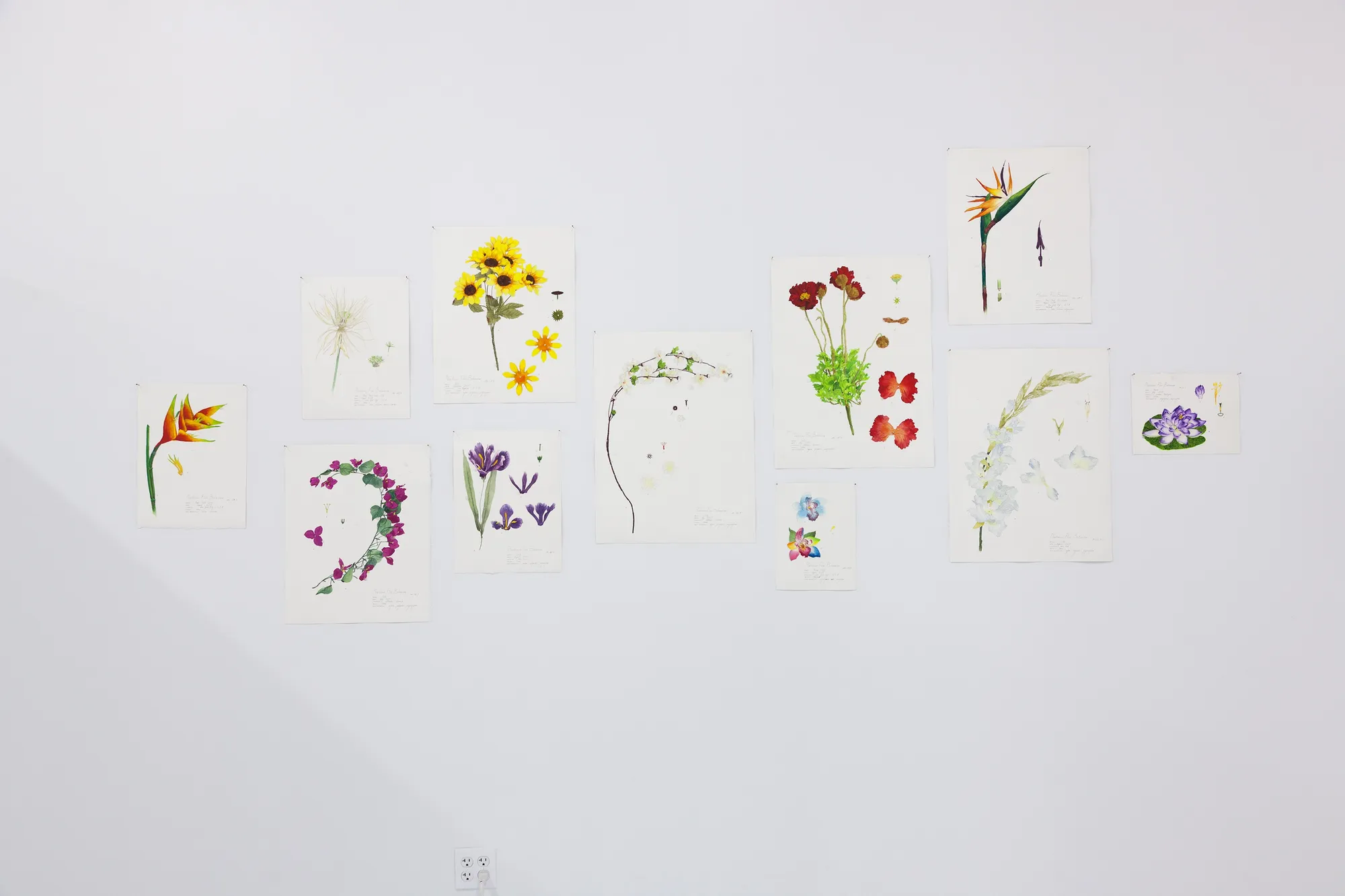 Installation View, Dreaming of Dying Robots and Artificial Flowers.