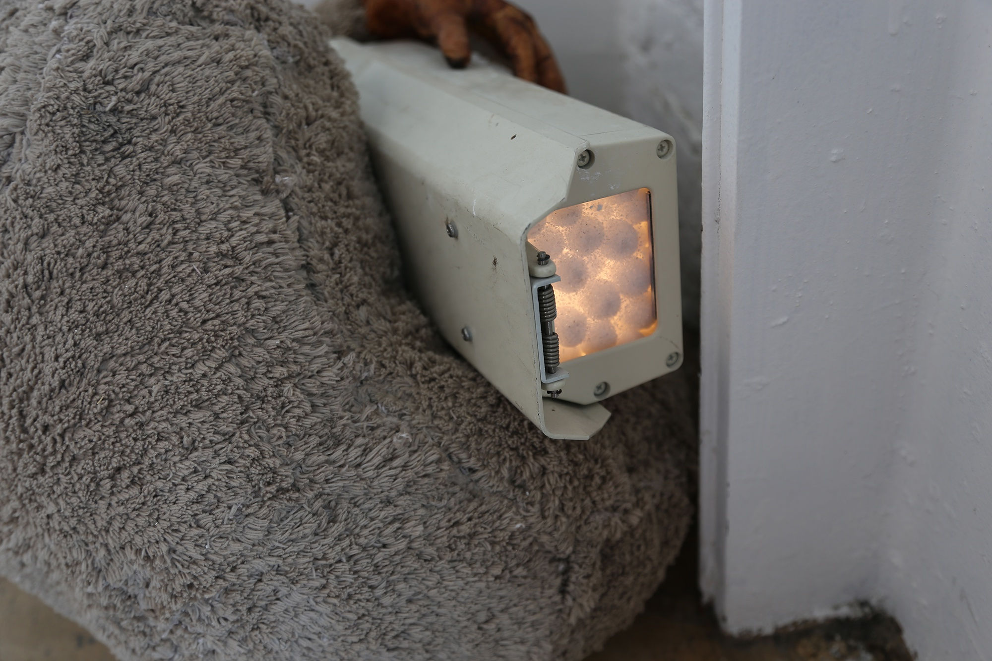 Installation View, marrow. Photo: Yubo Dong