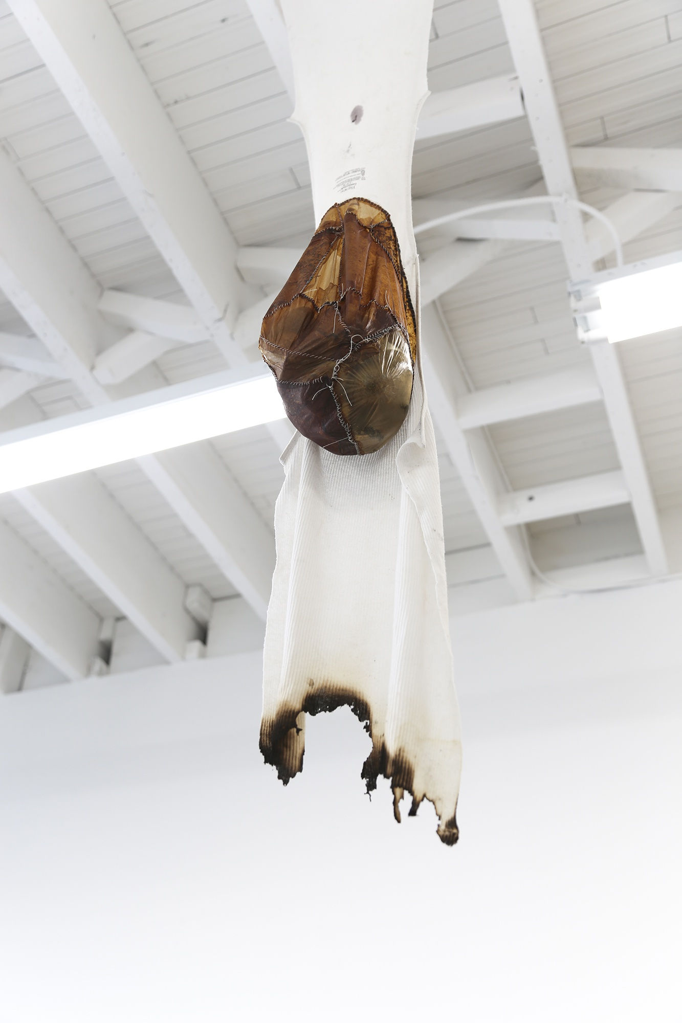 Installation View, marrow. Photo: Yubo Dong