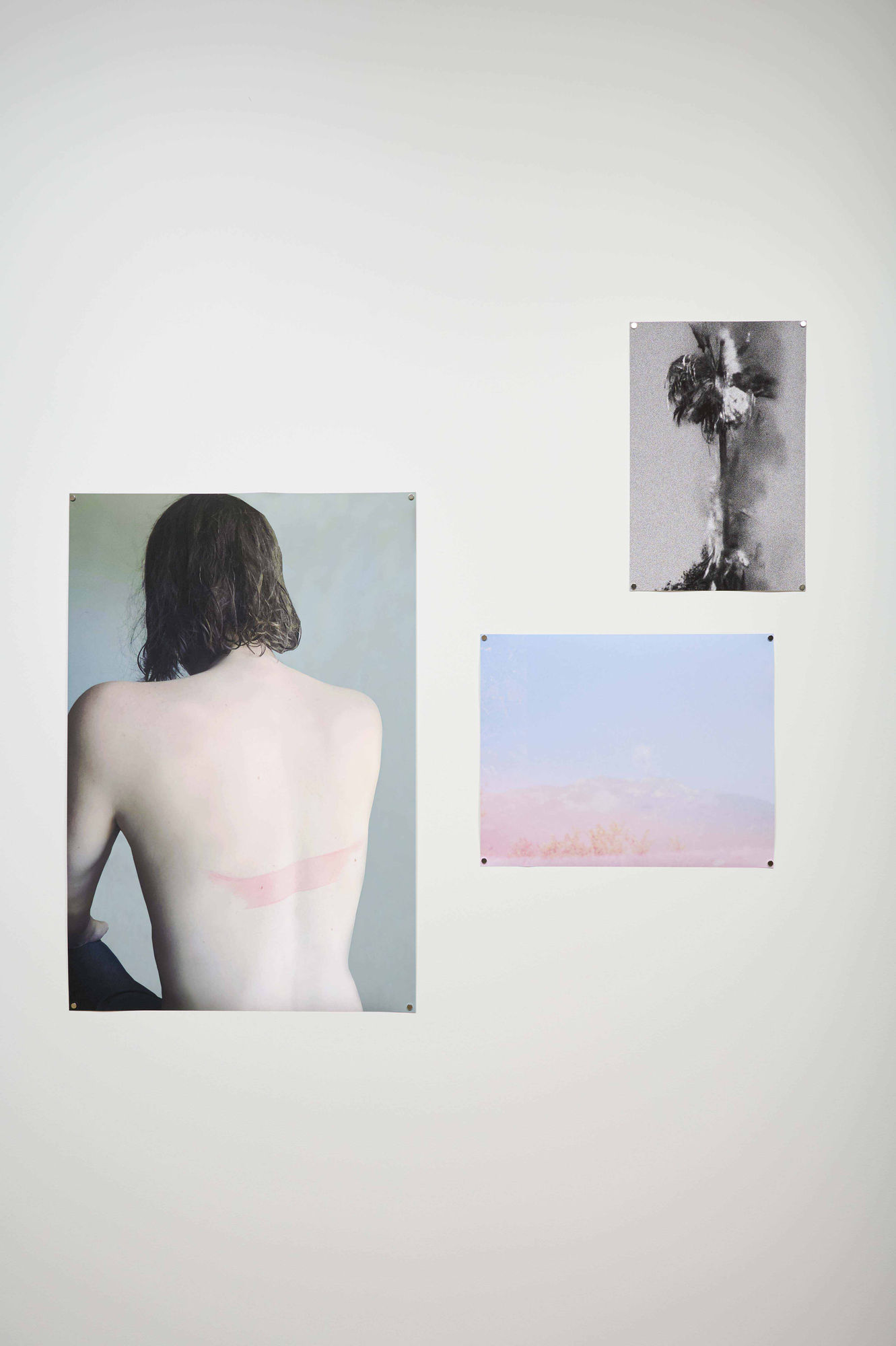 Paige Greco Dissolving A Pearl, Mid - June , 2023