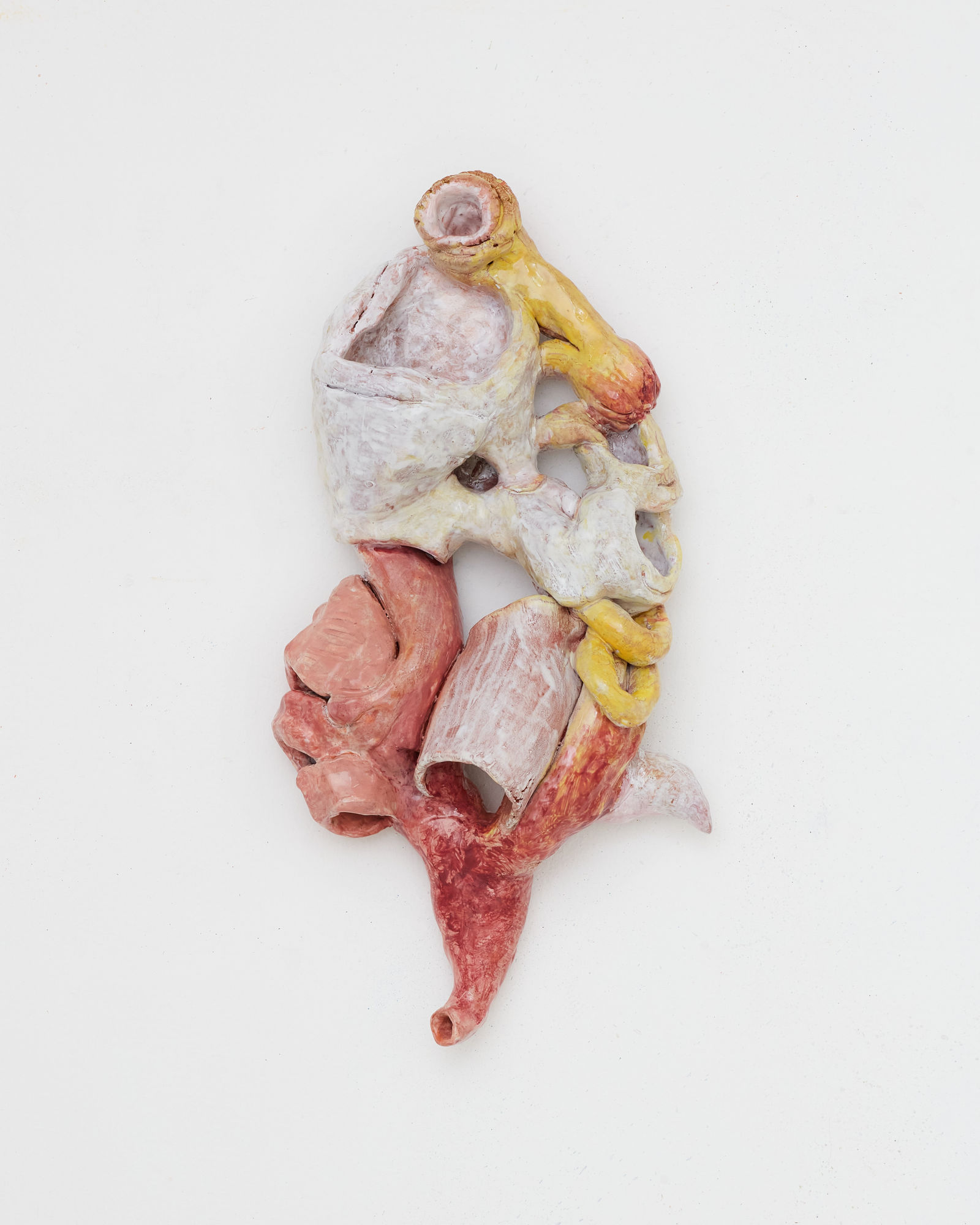 Soumya Netrabile Mushroom Prophet, 2024