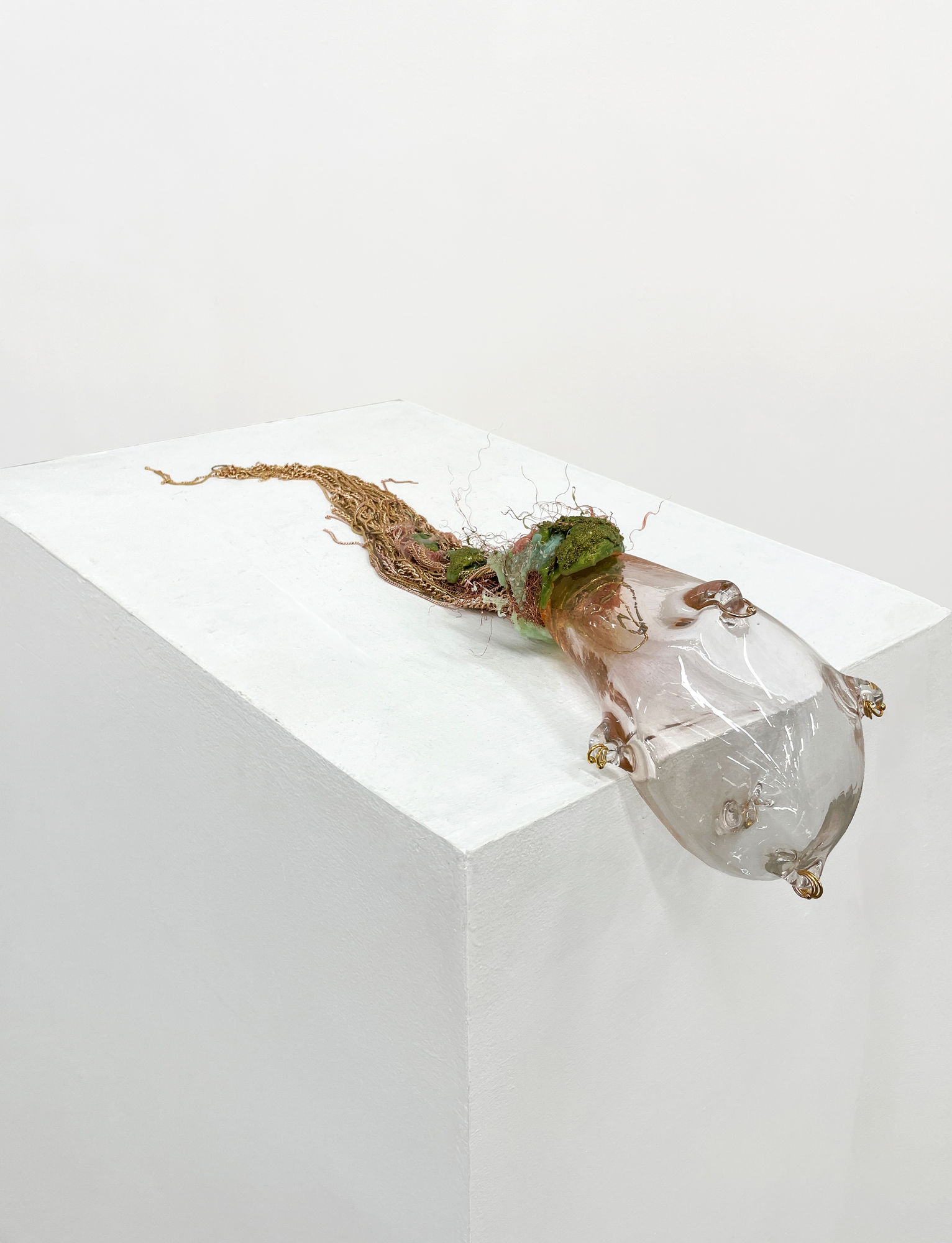 Kate Casanova Primordial Lobule with Captive Rings, 2024