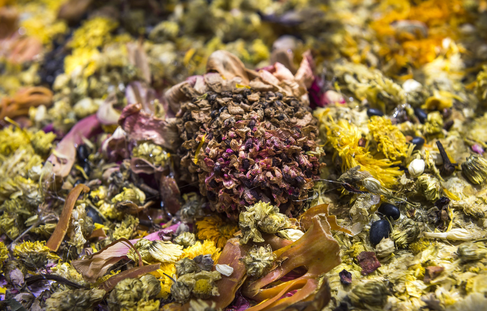 Daughter of the Soil