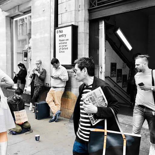 Wildflowers of London