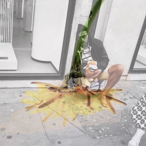 Wildflowers of London