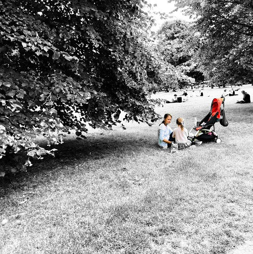 Wildflowers of London