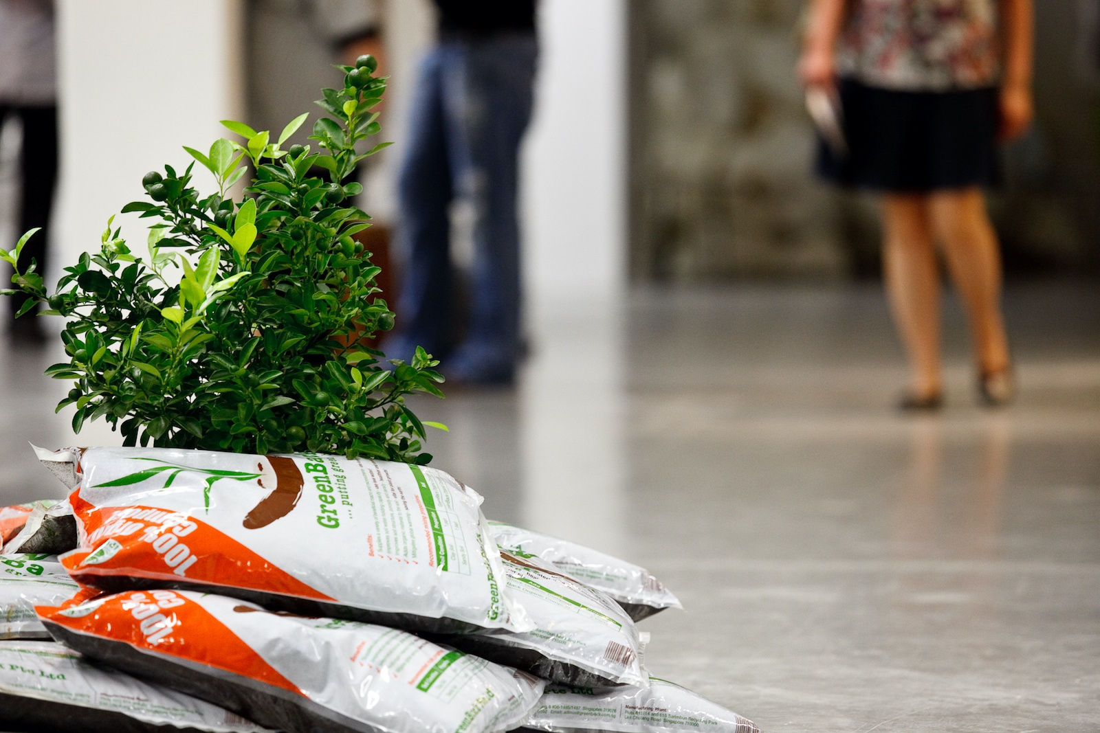 Design for Sustainability and Circle Economy