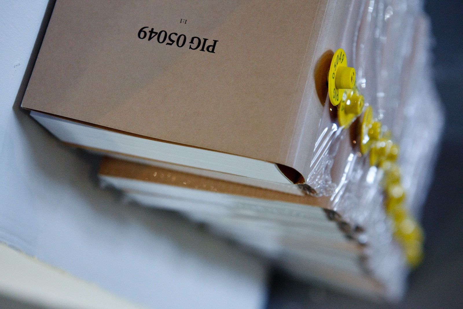 Design for Sustainability and Circle Economy