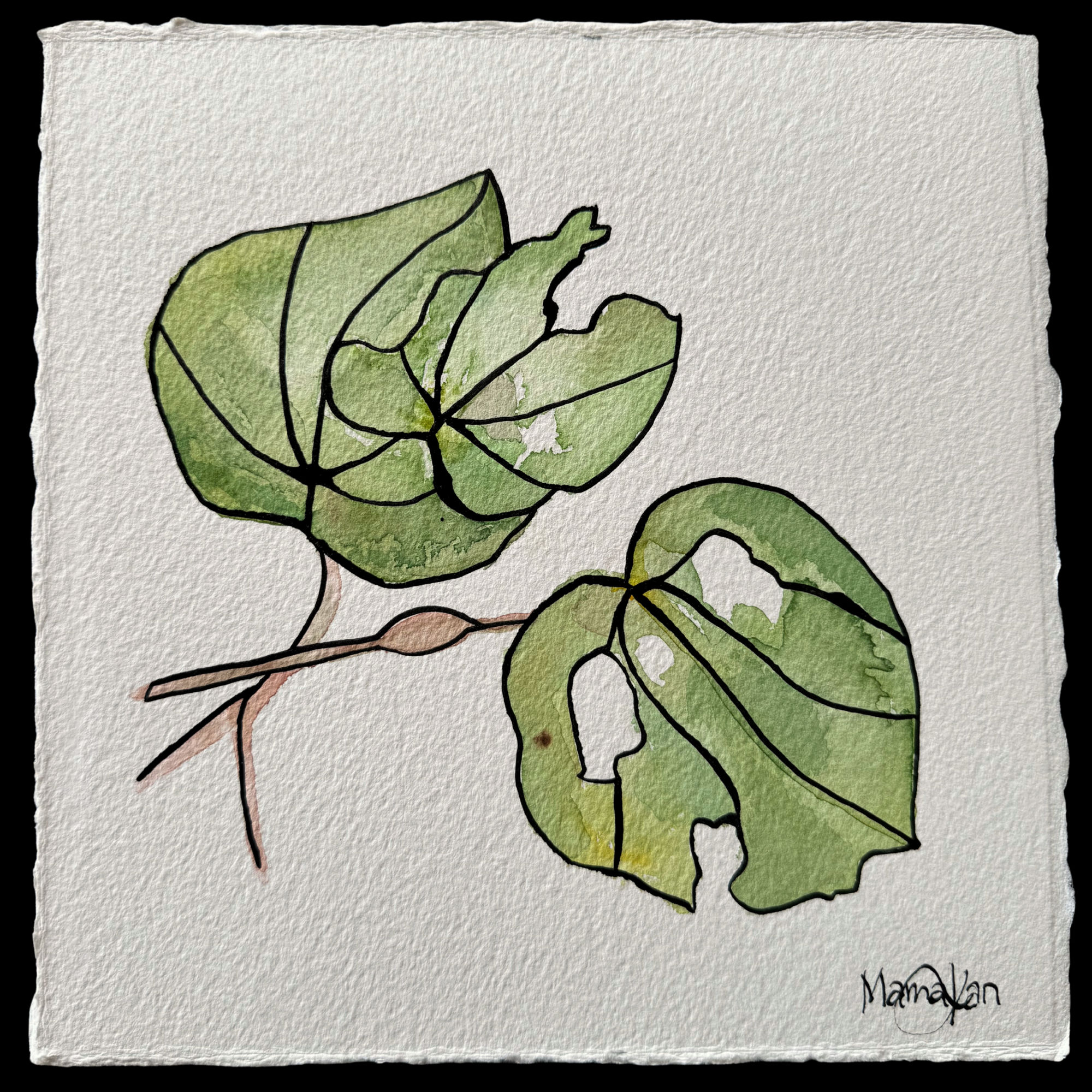 MAMAKAN , Kawakawa, 2025