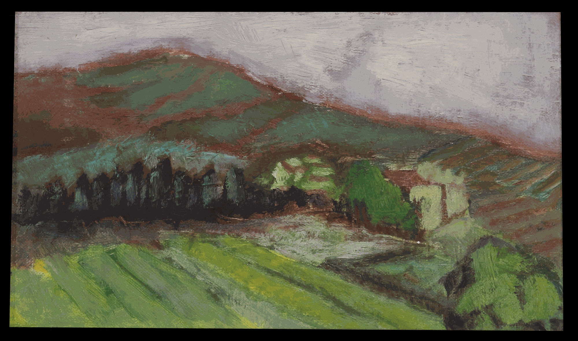 Isabelle Borg, Fields in Italy II, 1994