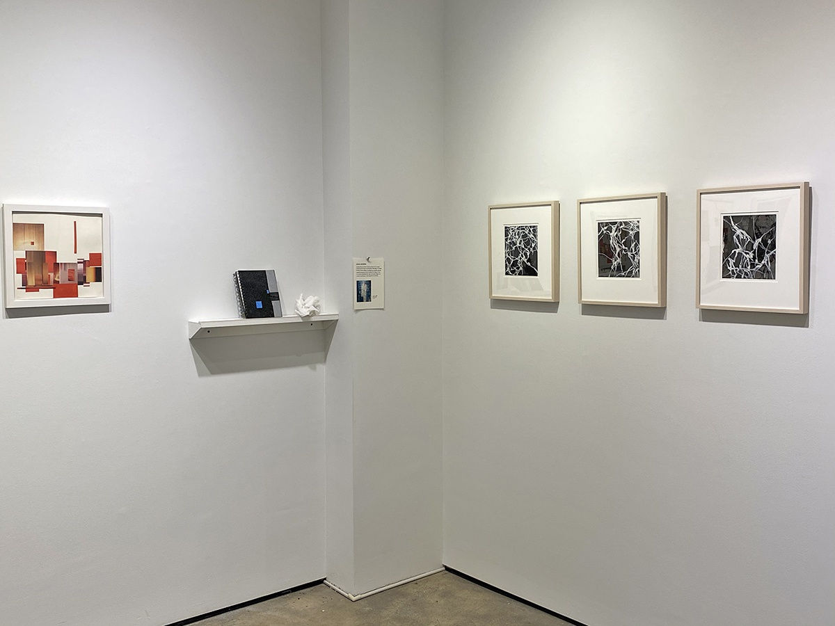installation shot of "Parallel Pursuits" group exhibition