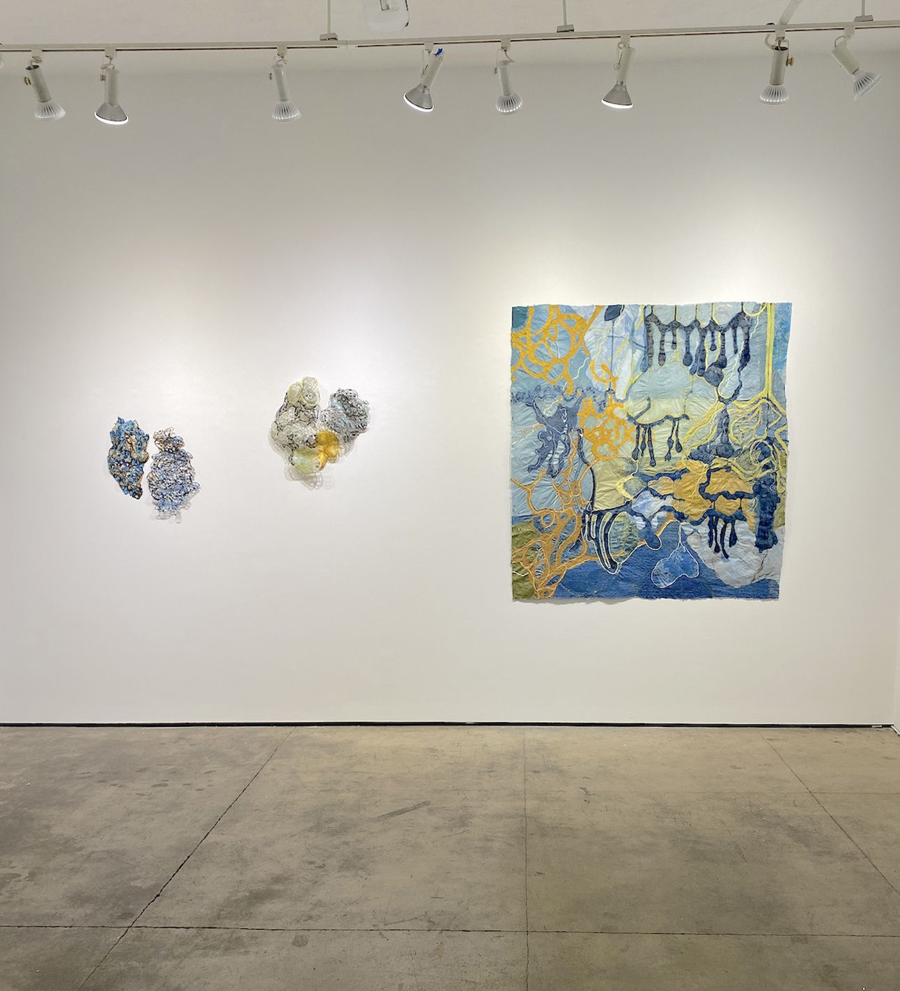 Nancy Cohen "Walking A Line" pictures of installation