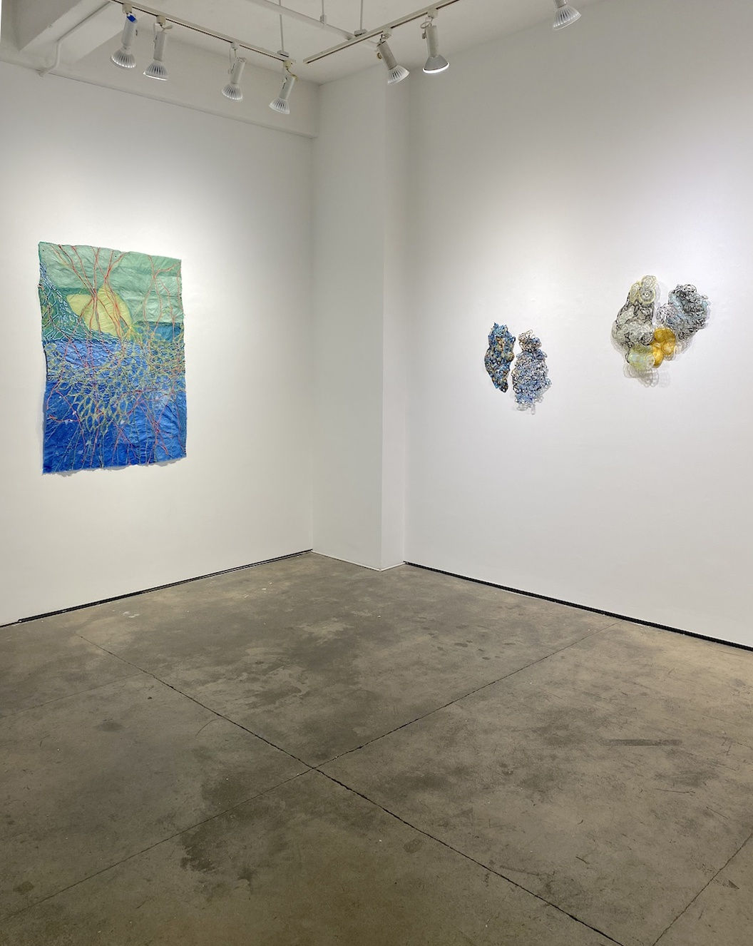 Nancy Cohen "Walking A Line" pictures of installation