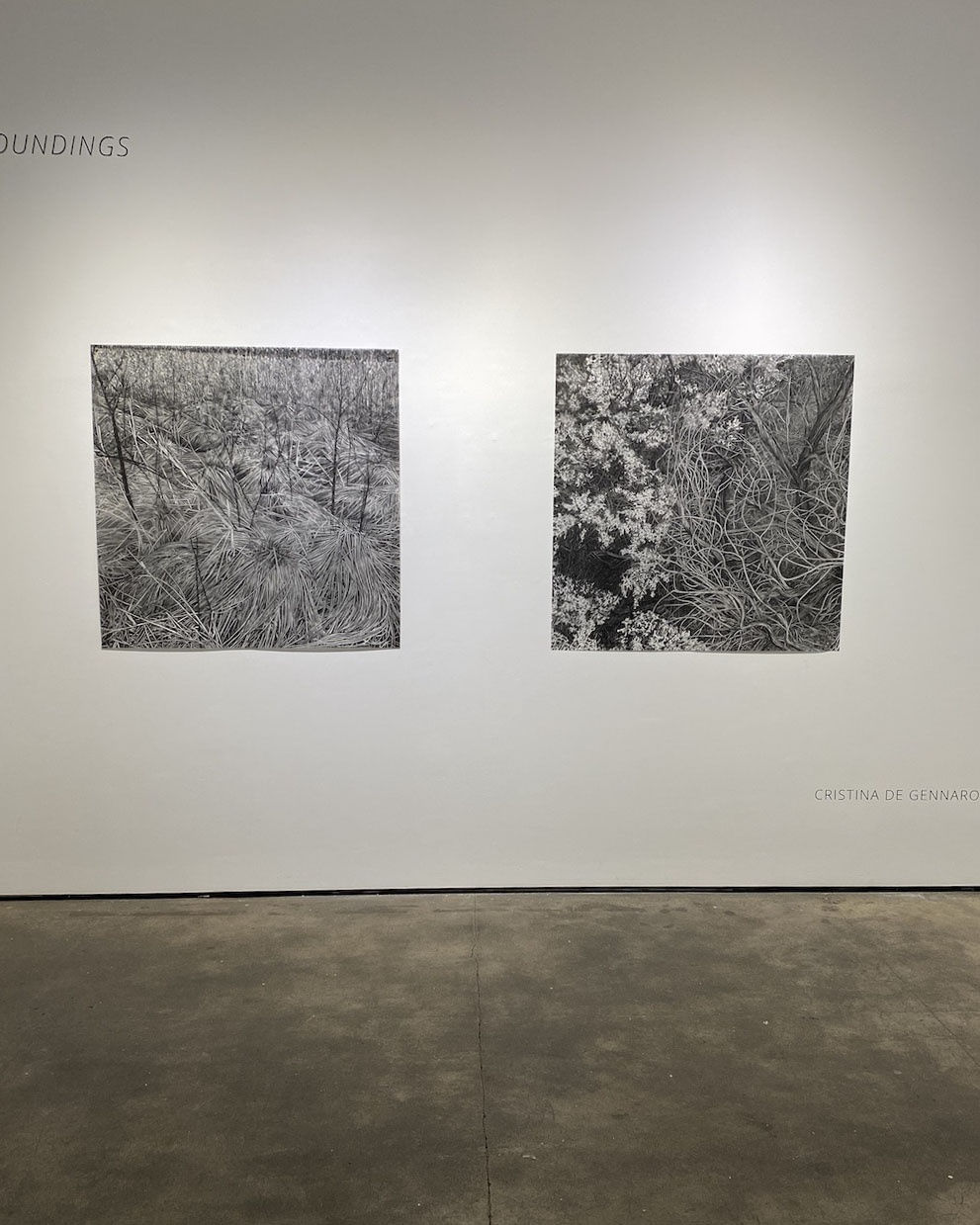 Installation shot of group exhibition "Soundings"