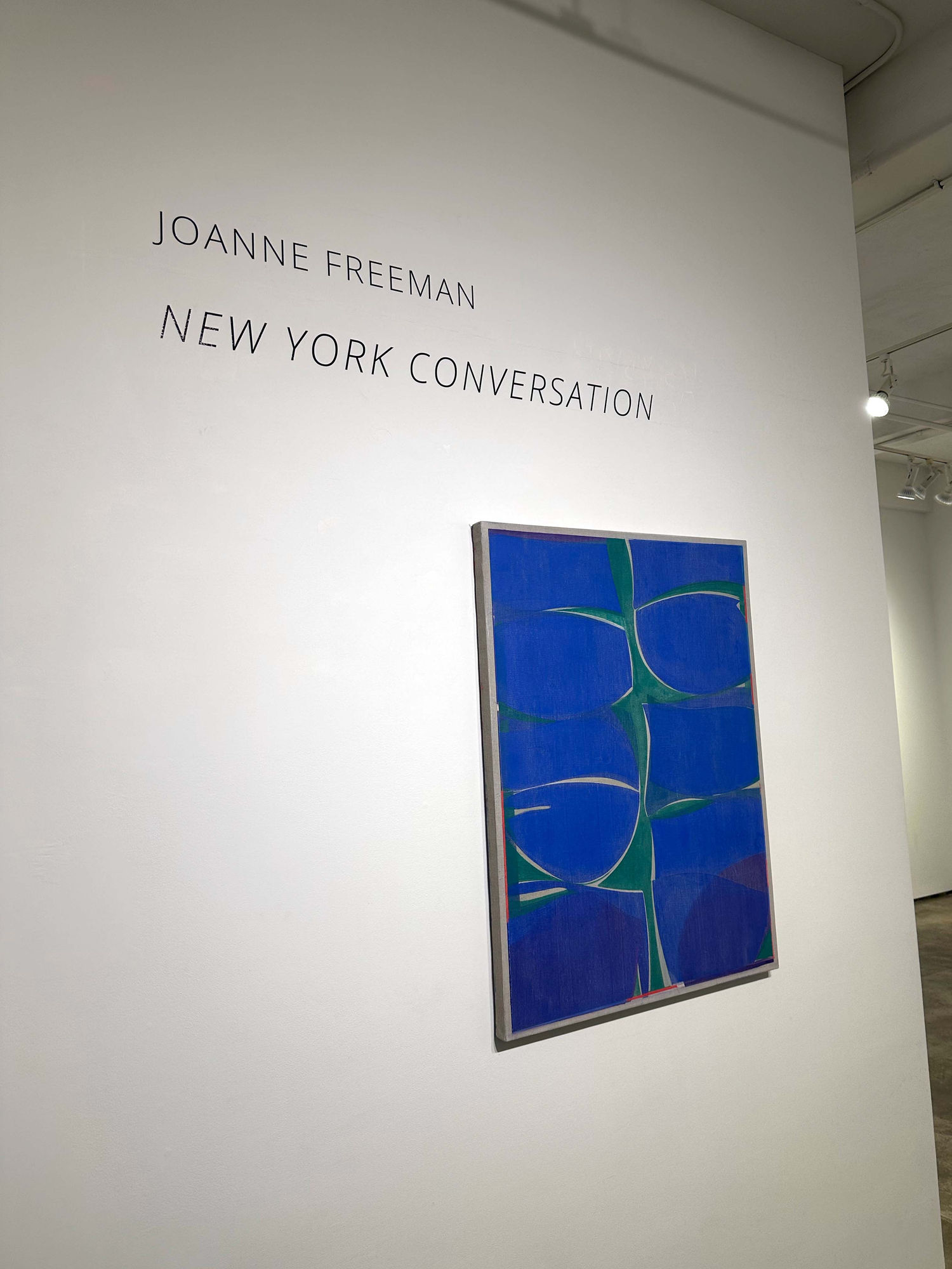 Installation shots of Joanne Freeman's exhibition "New York Conversations" January 5th to February 11th 2023