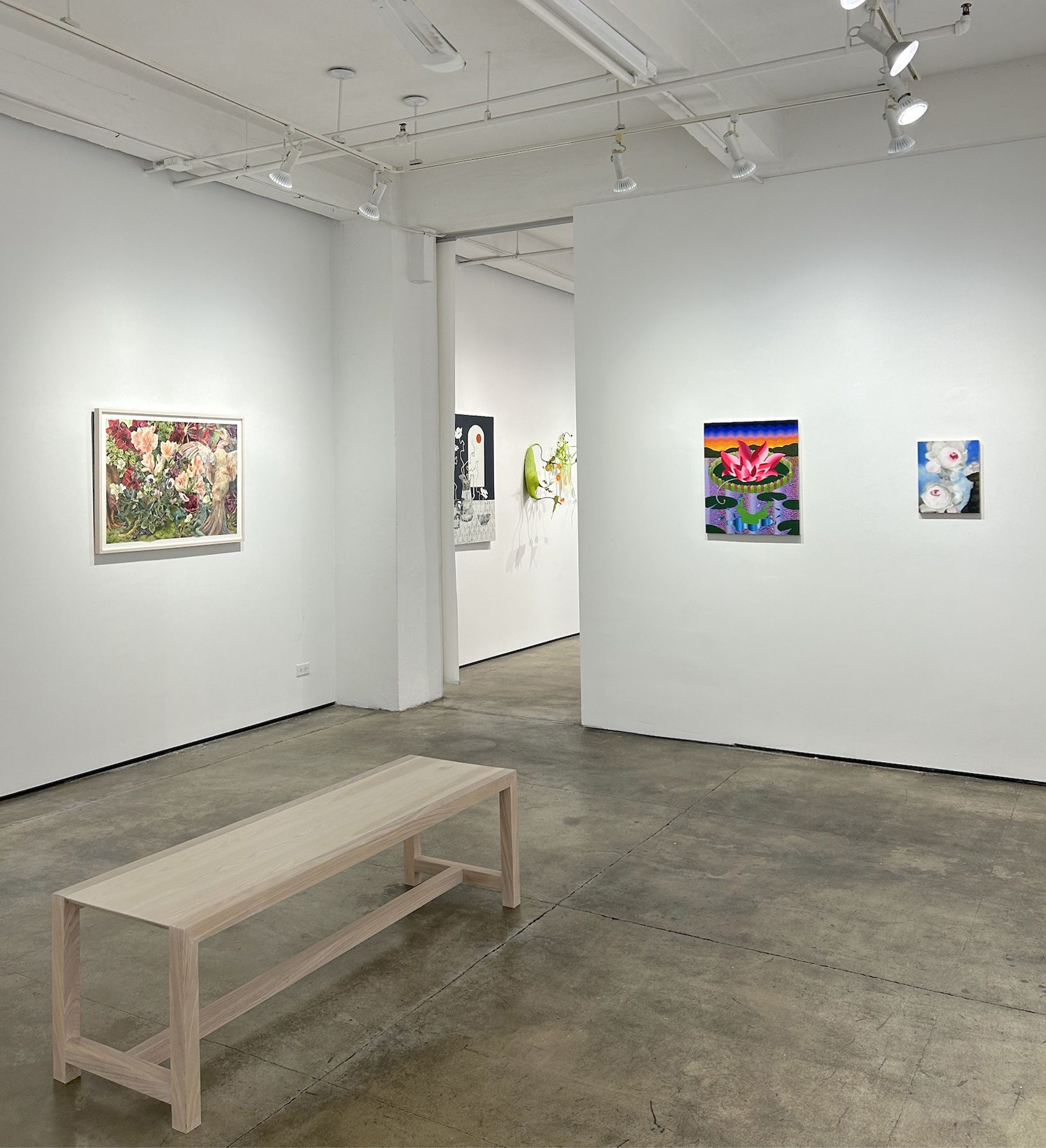 Installation views of an exhibition