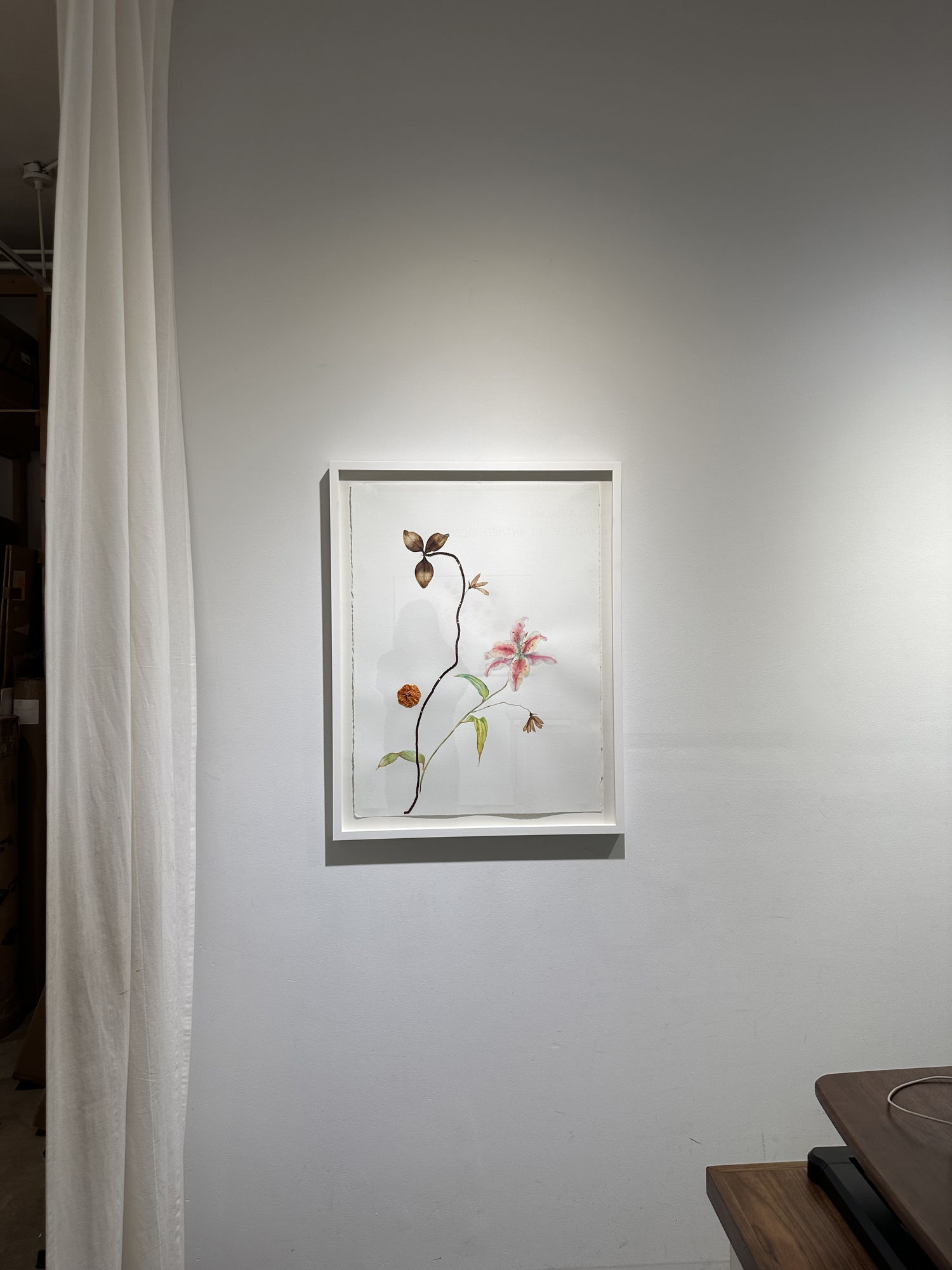 picture of exhibition paintings in the art gallery