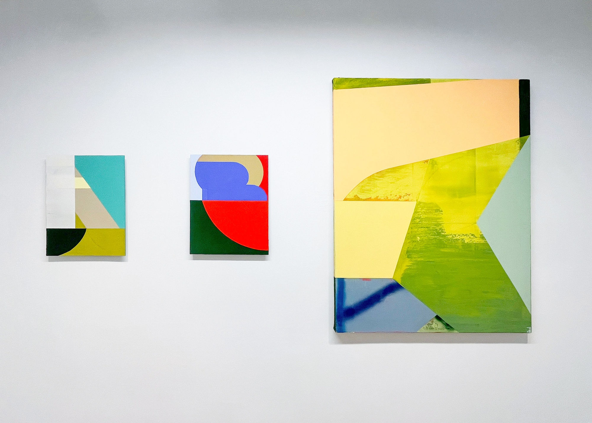 Anthony Falcetta: Inverse Certainties