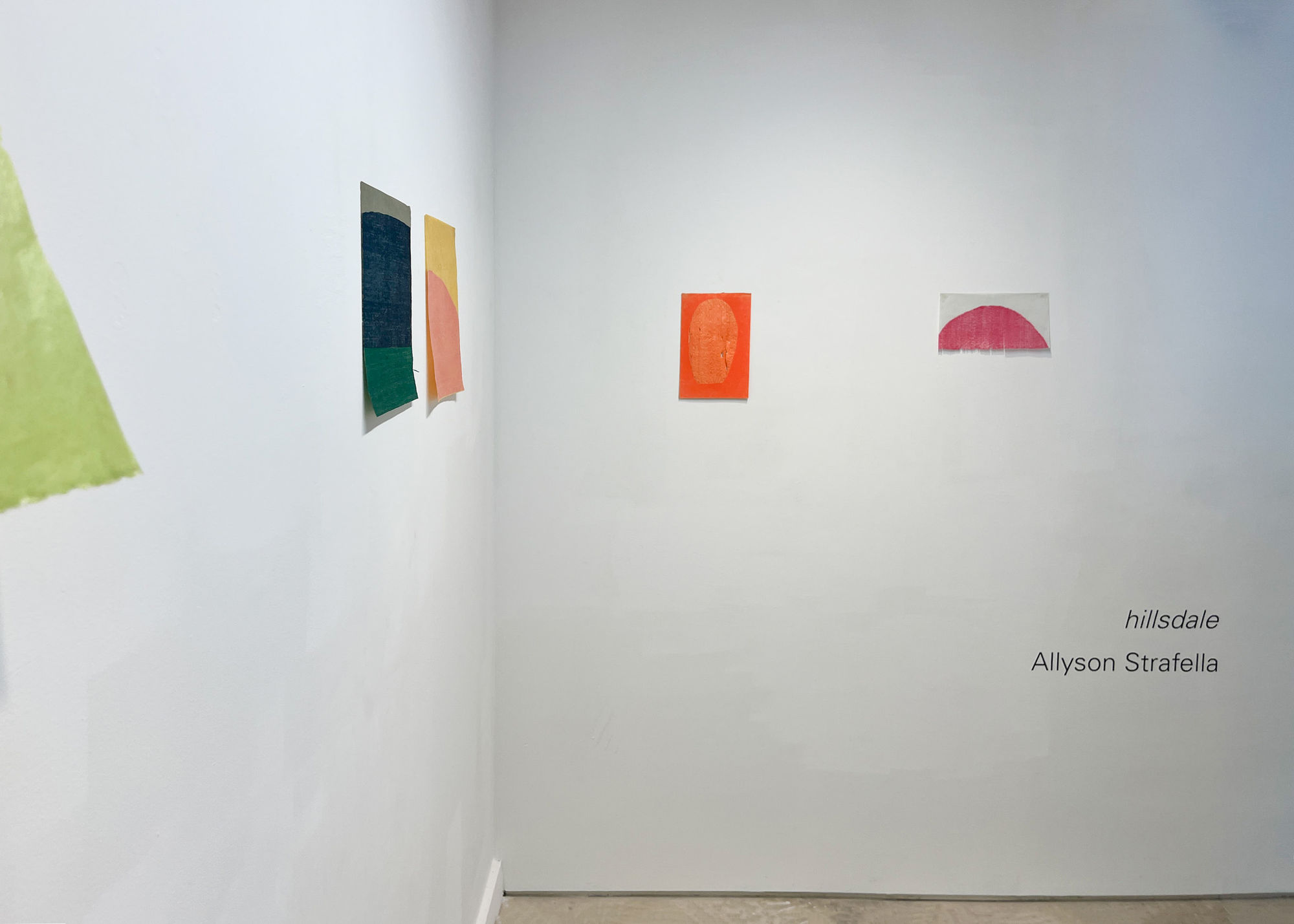 Allyson Strafella: hillsdale