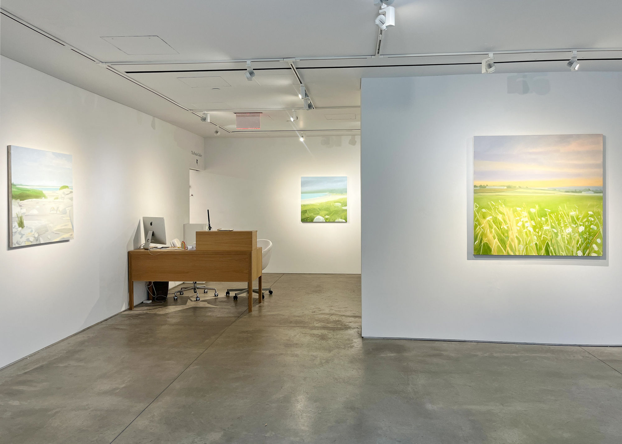 Sara MacCulloch: Sun Fog Rain