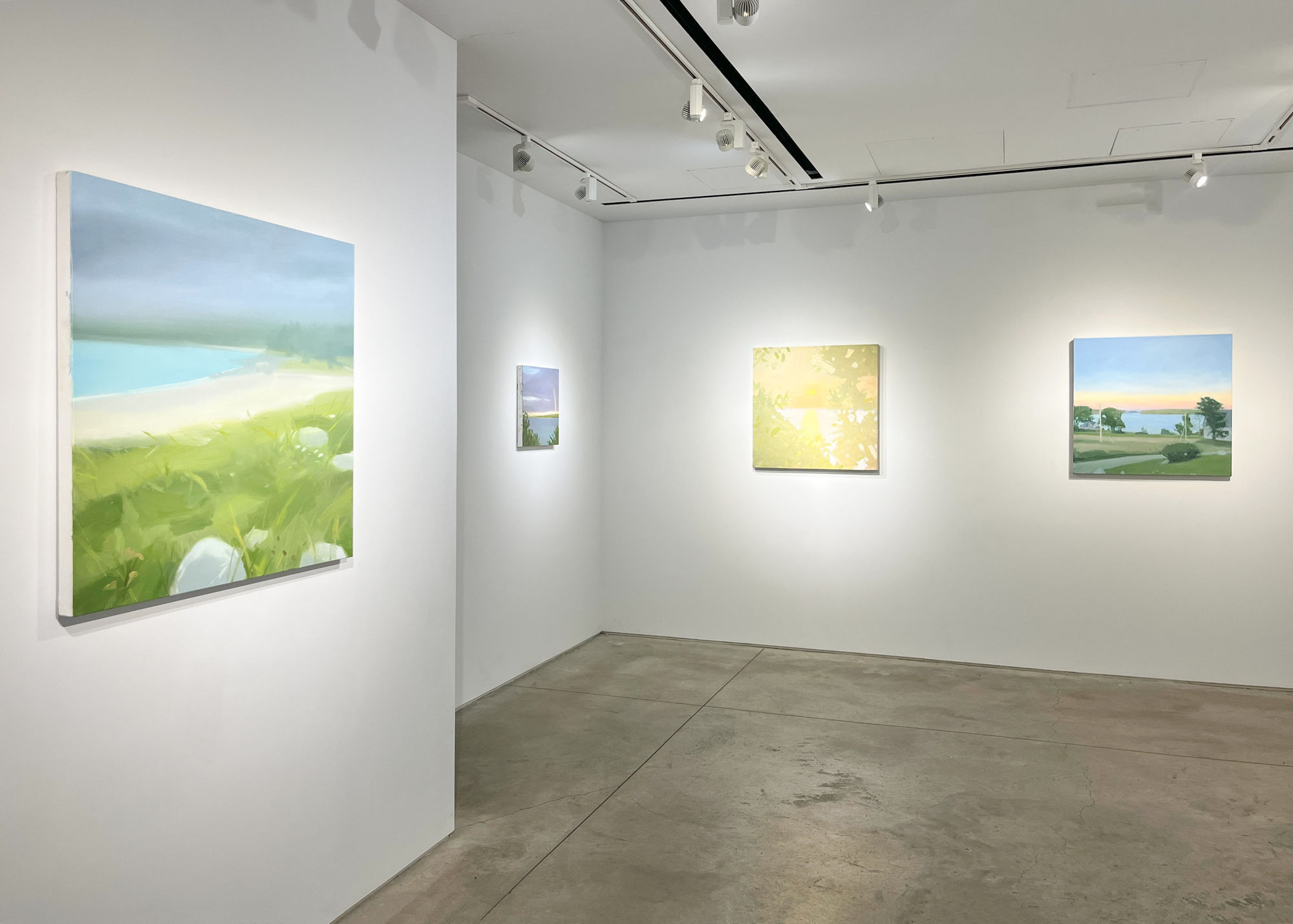 Sara MacCulloch: Sun Fog Rain