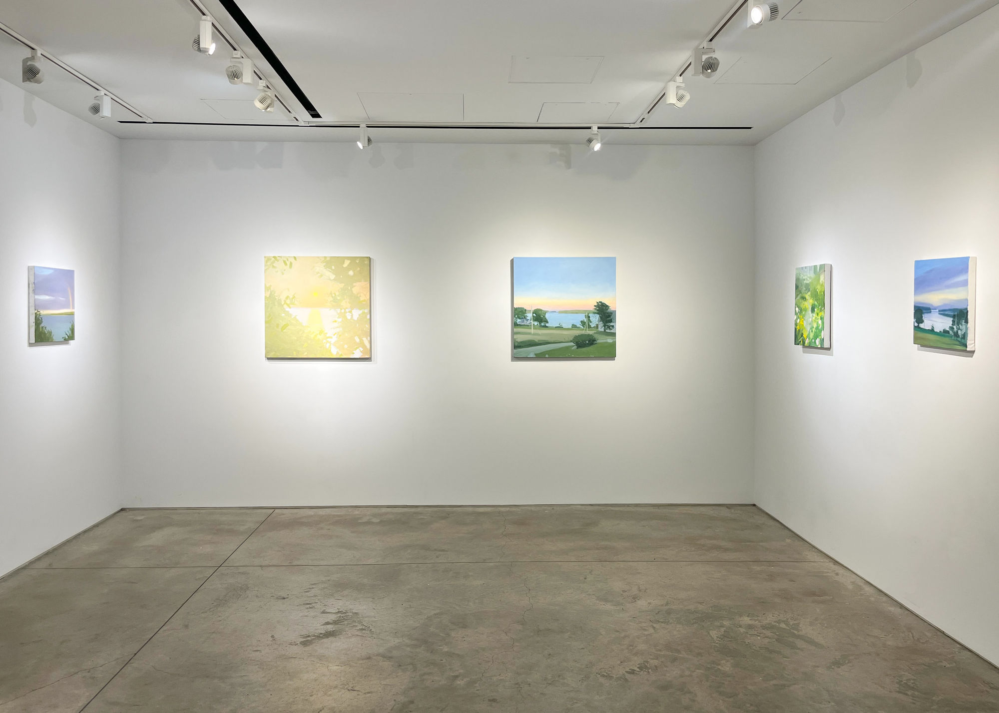 Sara MacCulloch: Sun Fog Rain