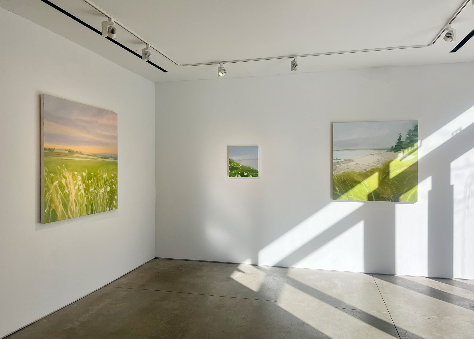 Sara MacCulloch: Sun Fog Rain