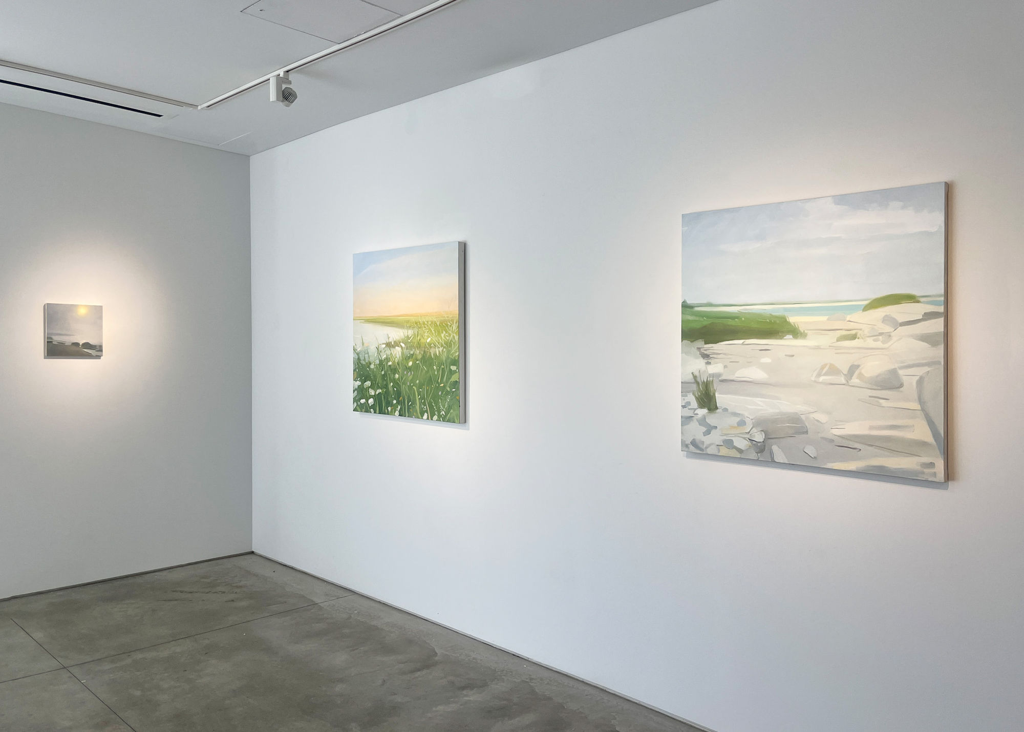 Sara MacCulloch: Sun Fog Rain