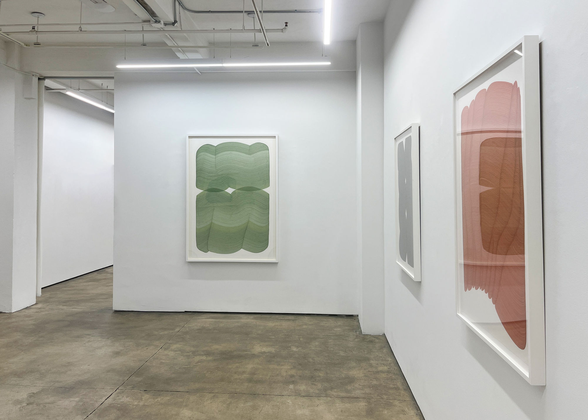 Dana Piazza: Fall Lines