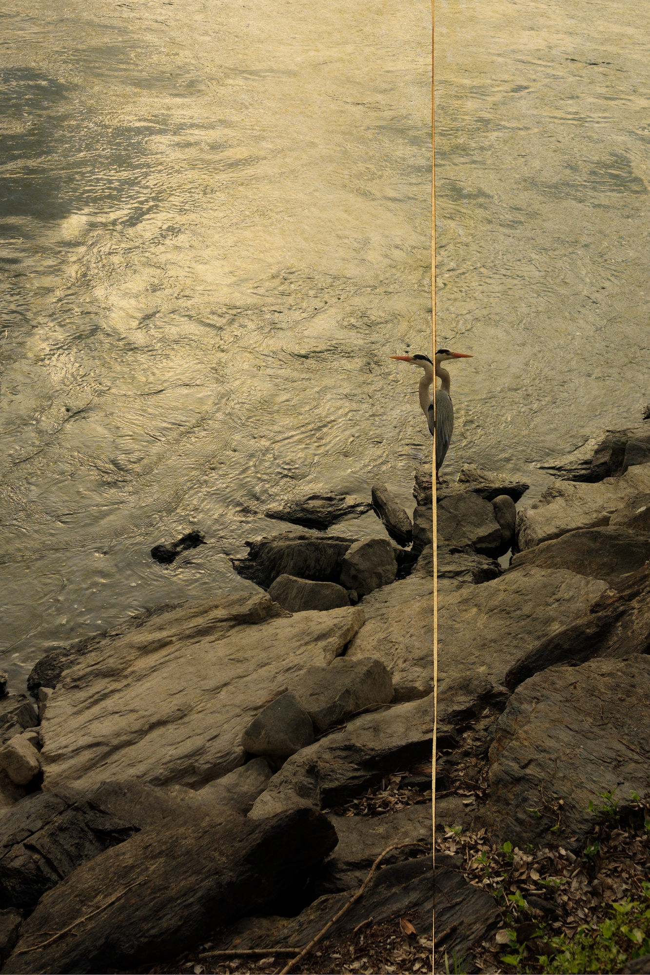 Albarrán Cabrera, Kairos, #4053, 2015