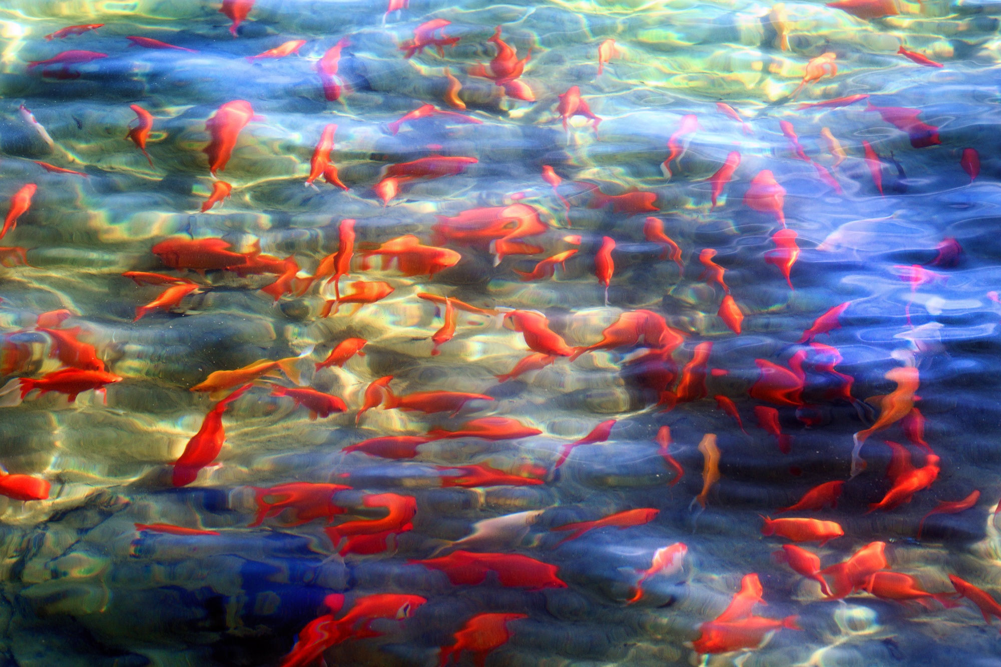 Albarrán Cabrera, The Mouth of Krishna, #613, 2016