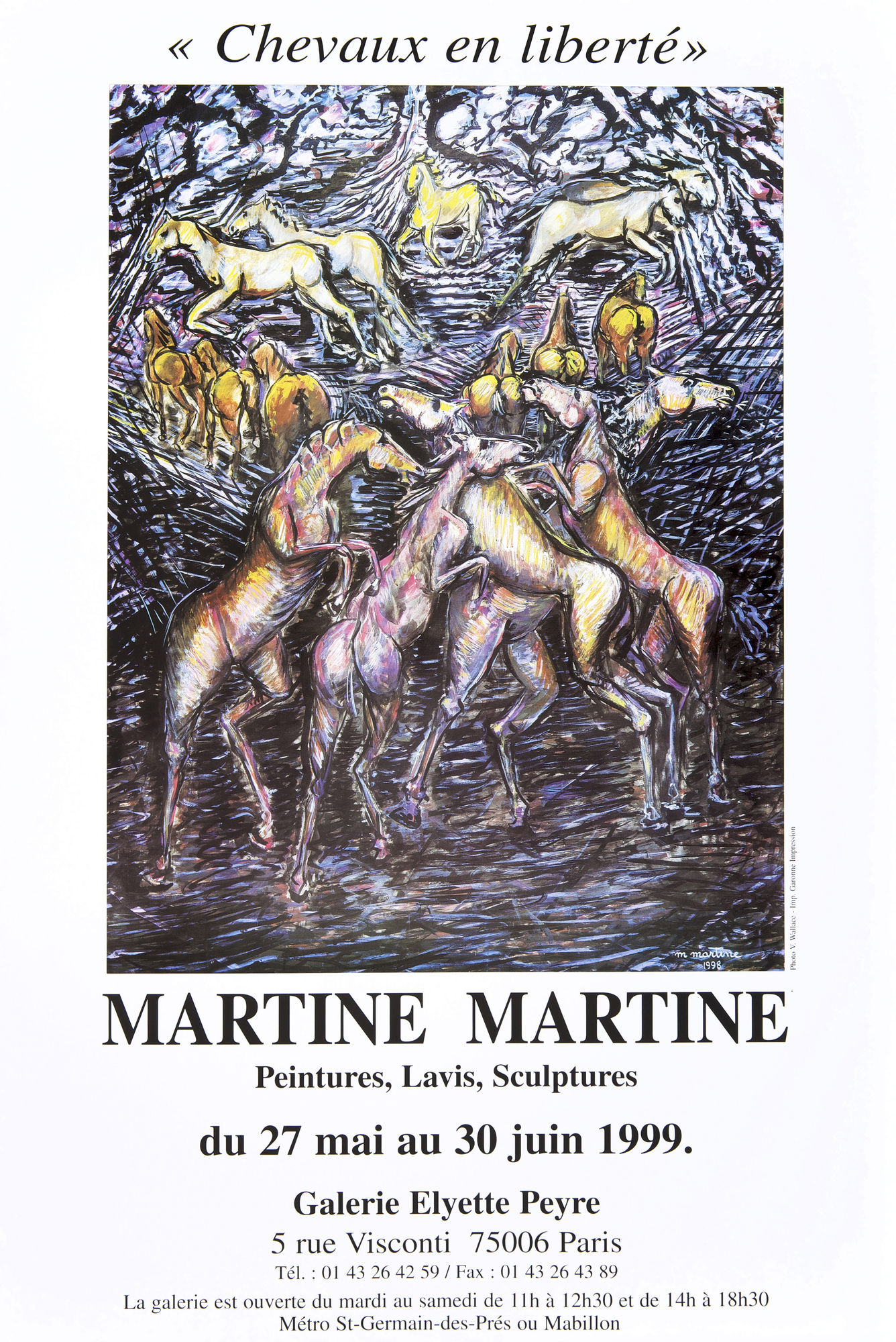 Martine Martine - Chevaux en liberté - Peintures, Lavis, Sculptures