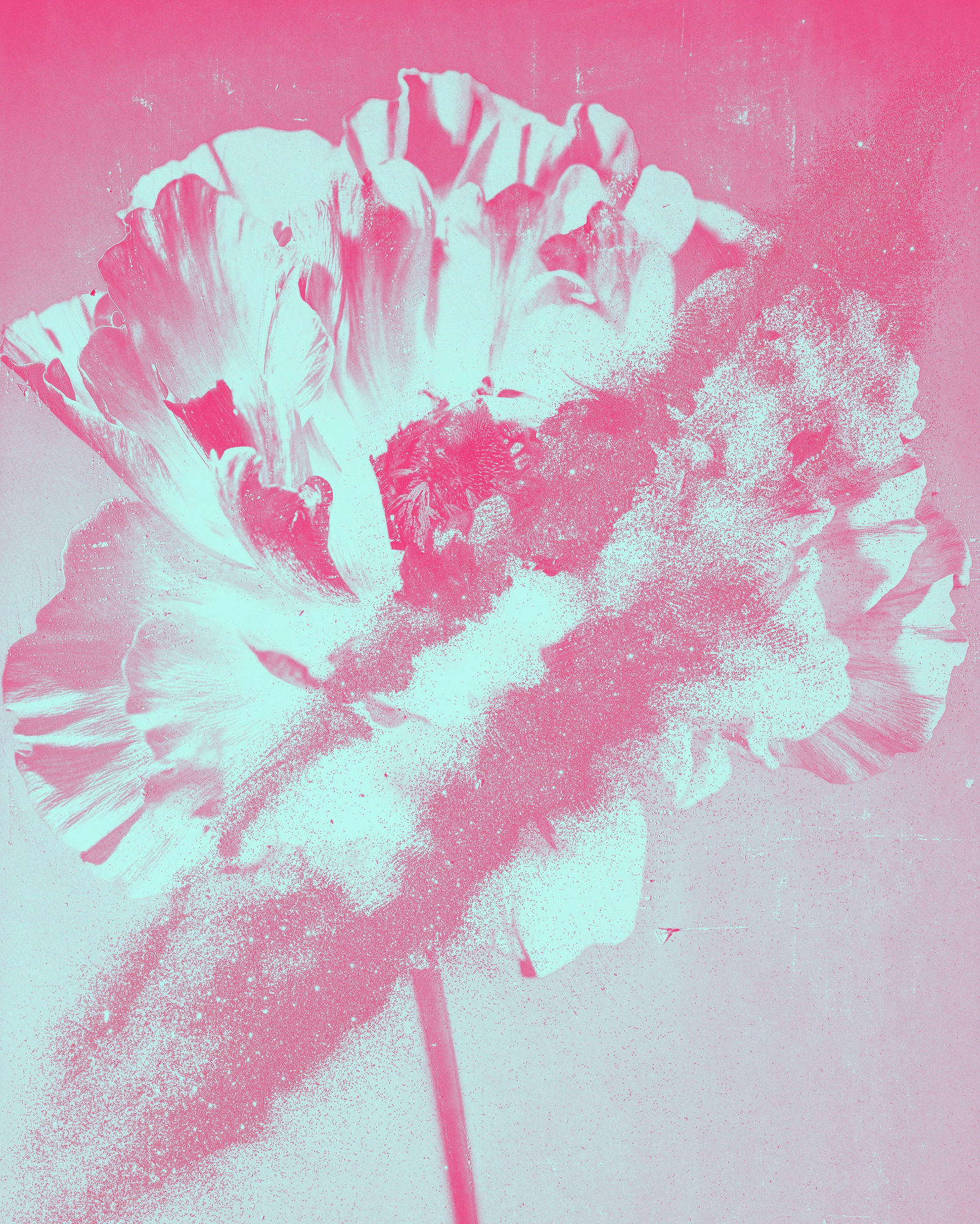 Firstname Lastname, Title, 2019