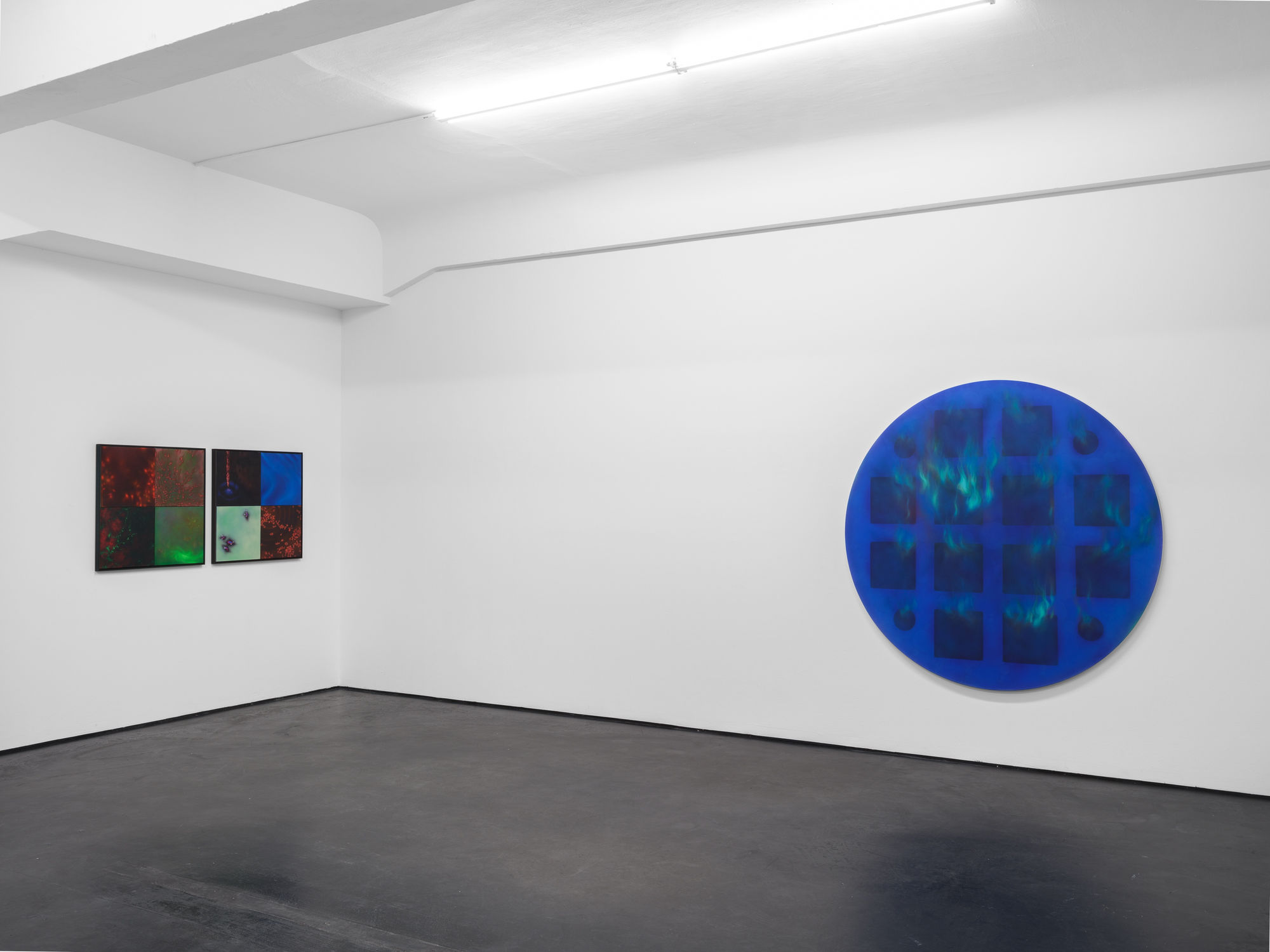 gatekeepers | natacha donzé