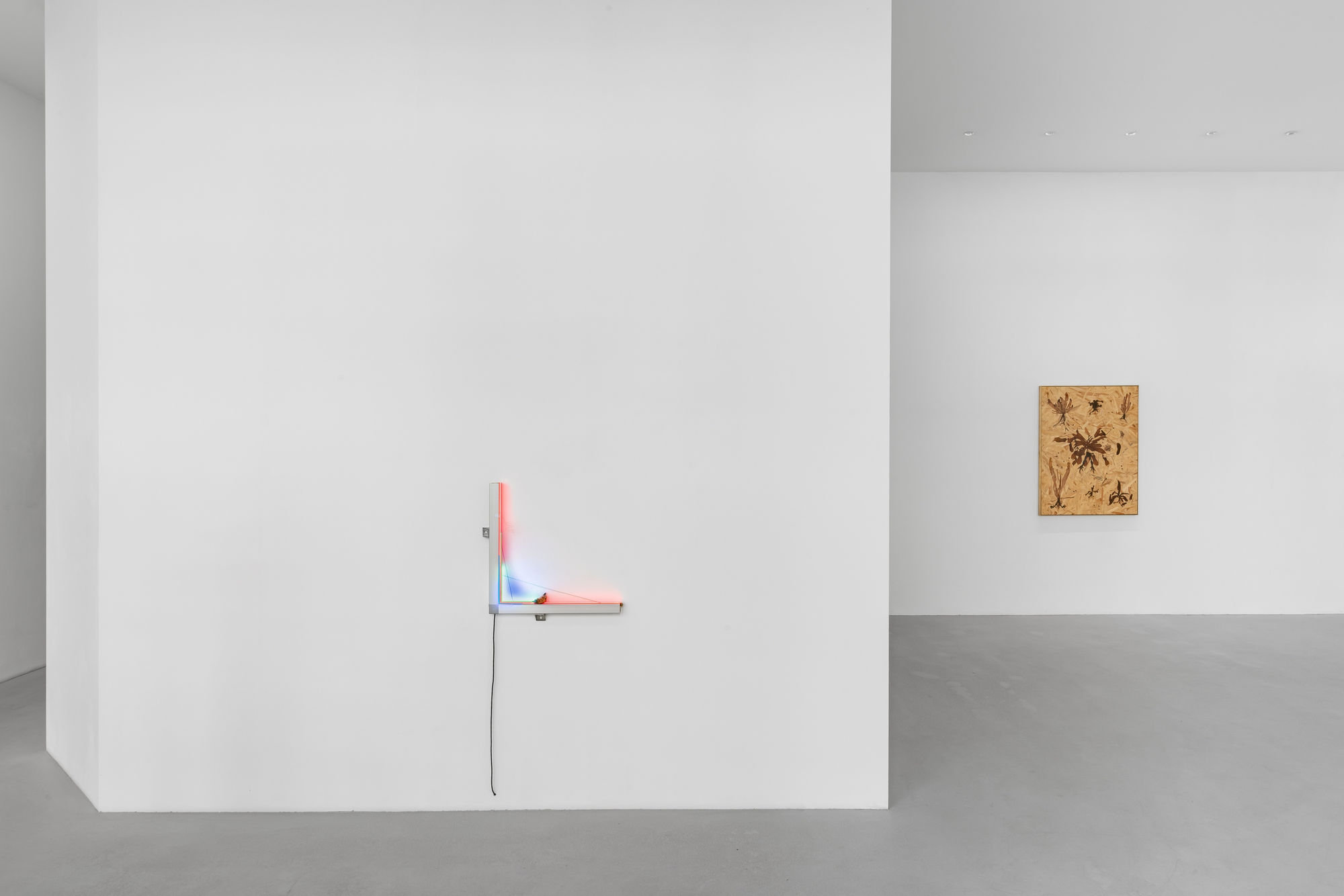 everything, entangled, all at once