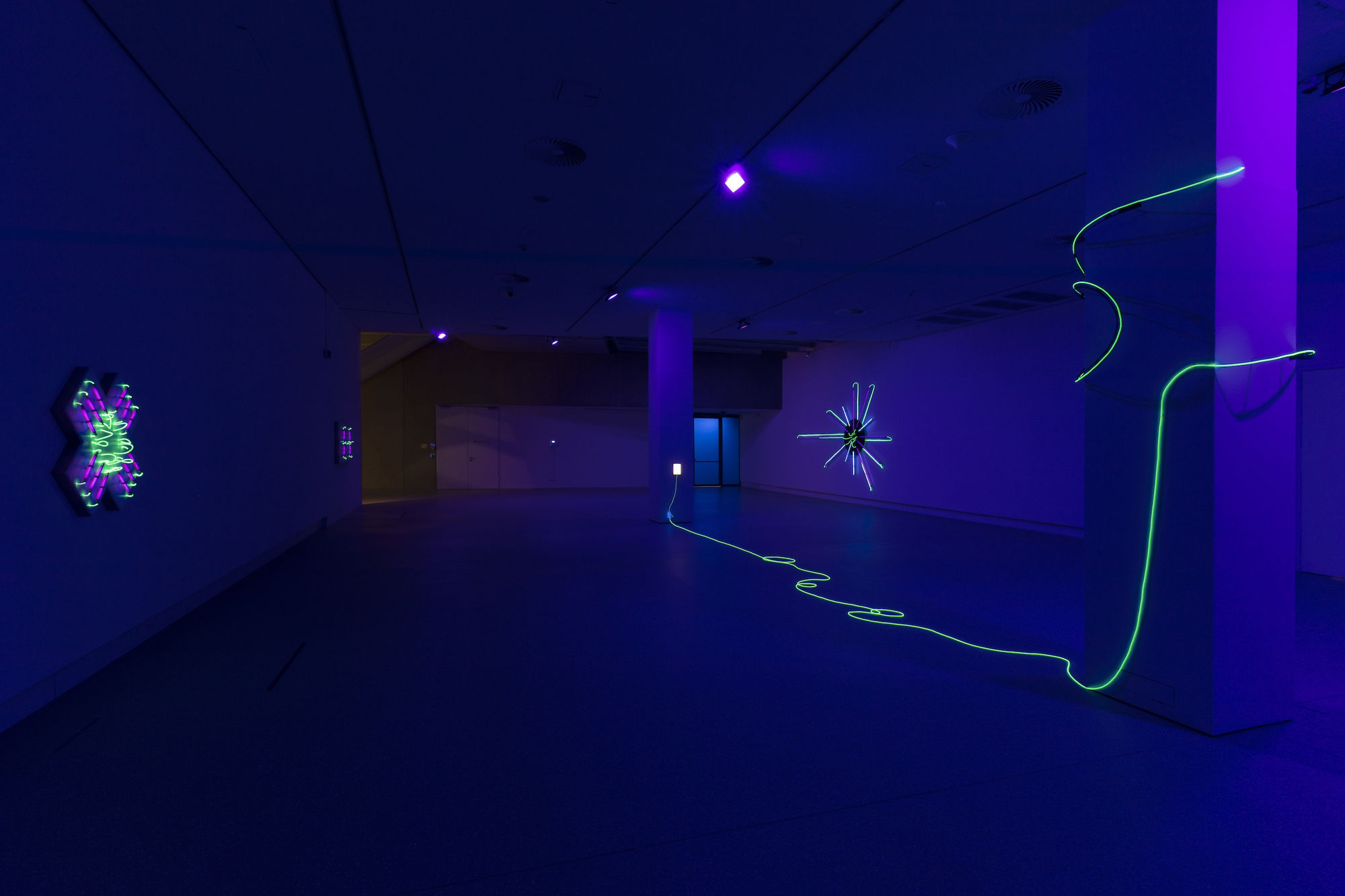 Installation view ISTR, Schlossmuseum Linz (2022) | Photo: Peter Hoiss