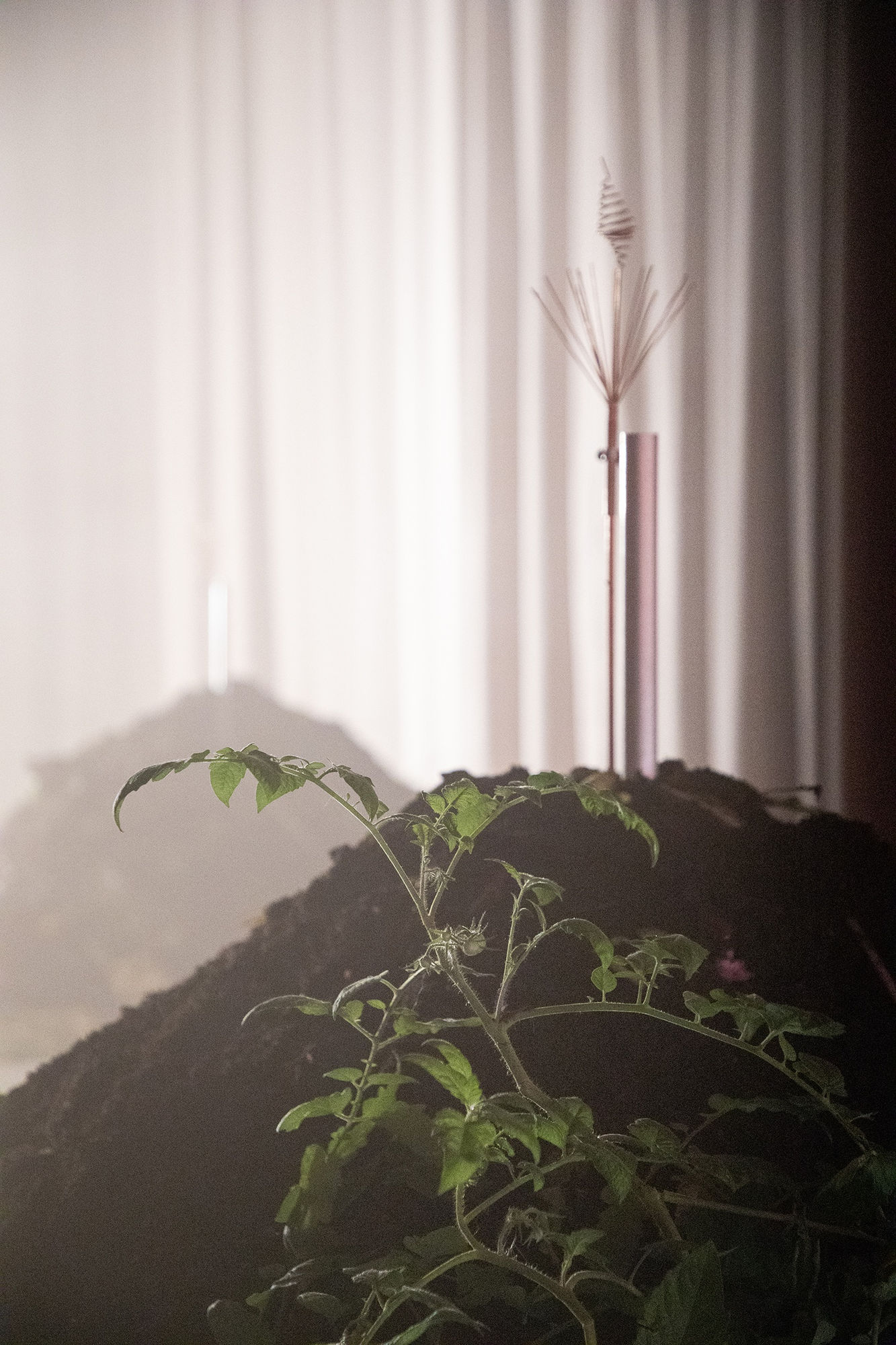 Installation view Vermi Cell, Fragile, Berlin (2023) | Photo: Jonas Wendelin