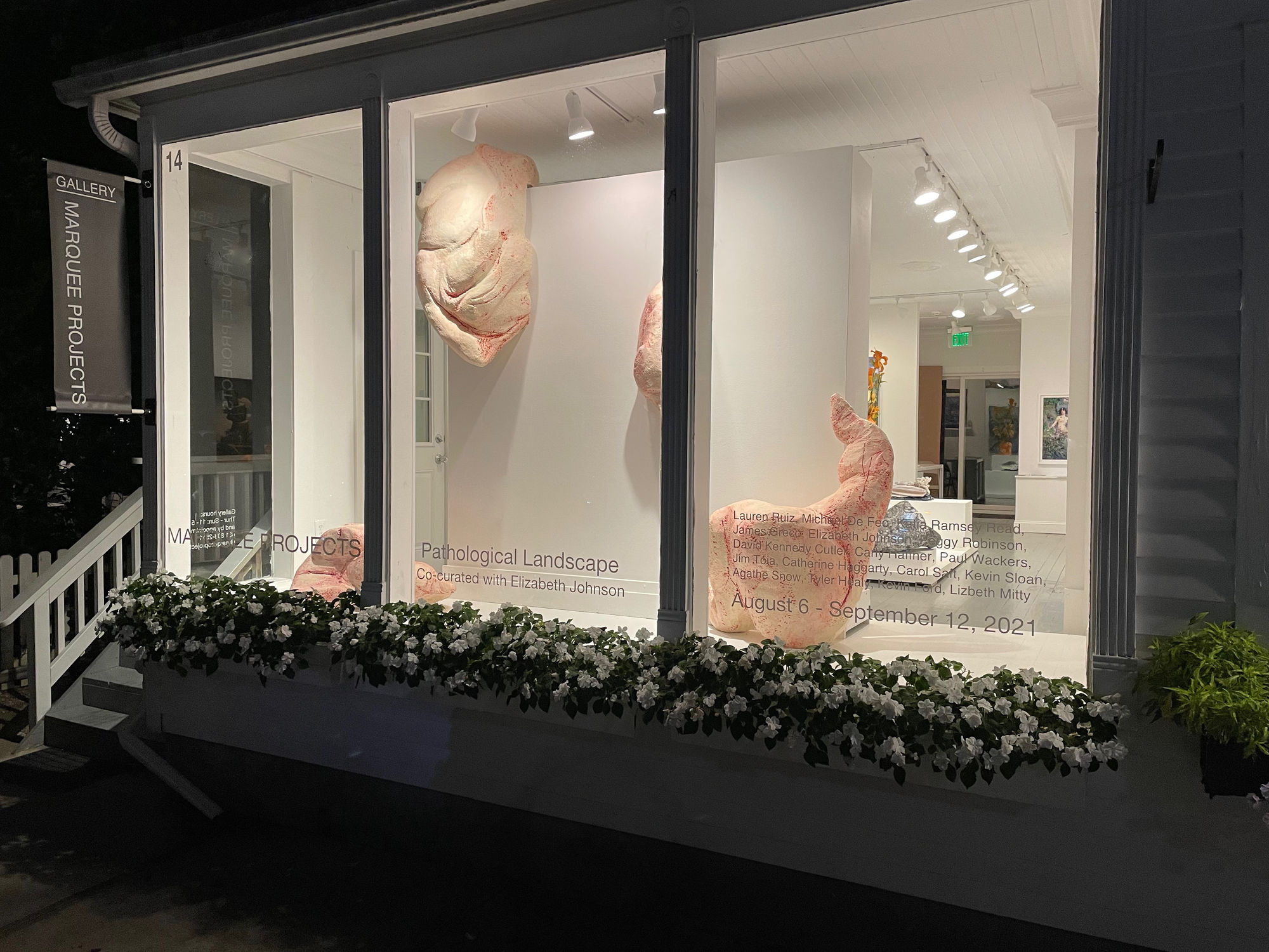 Pathological Landscape