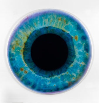 Marc Quinn Iris (We Share Our Chemistry With the Stars) A200L DIL, 2009