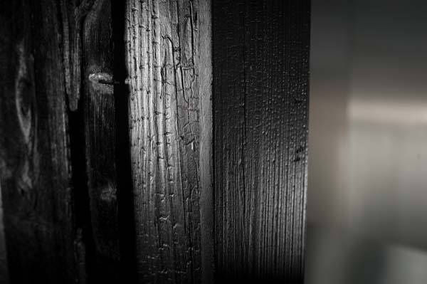 Miya Ando Shou Sugi Ban, 2015