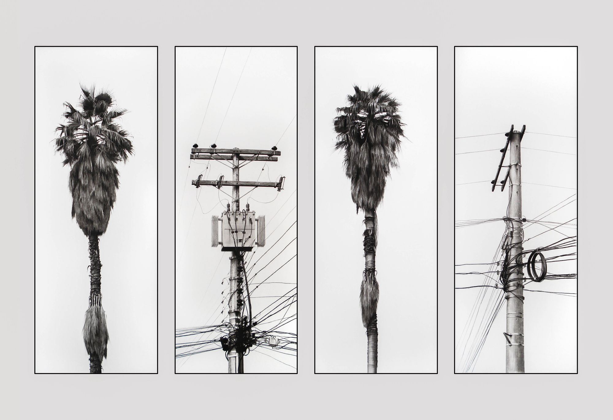 Frio, 2014 Charcoal on Paper 78 7/10 × 110 1/5 in 200 × 280 cm