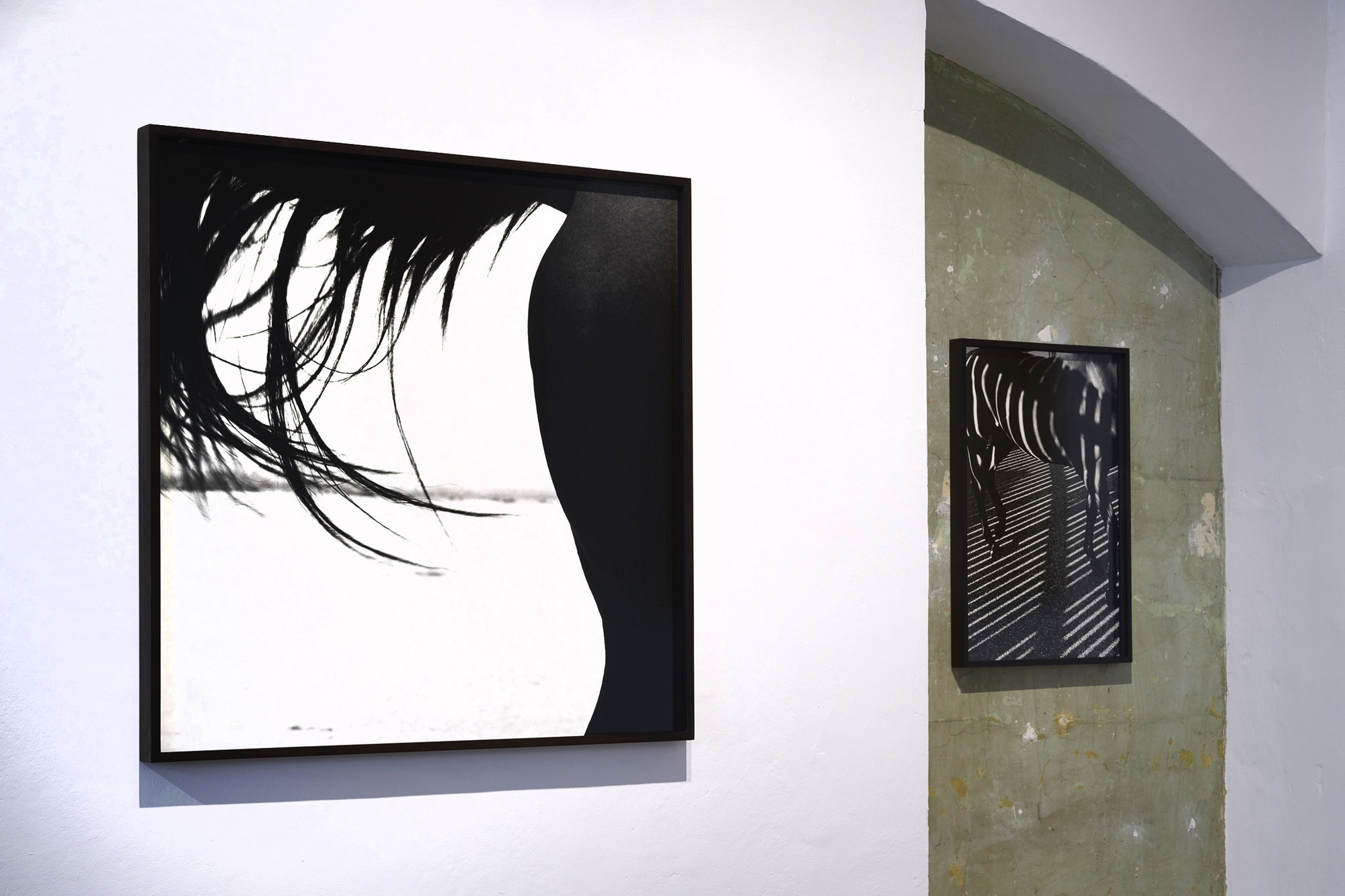 John Reardon: (after) Whistlejacket