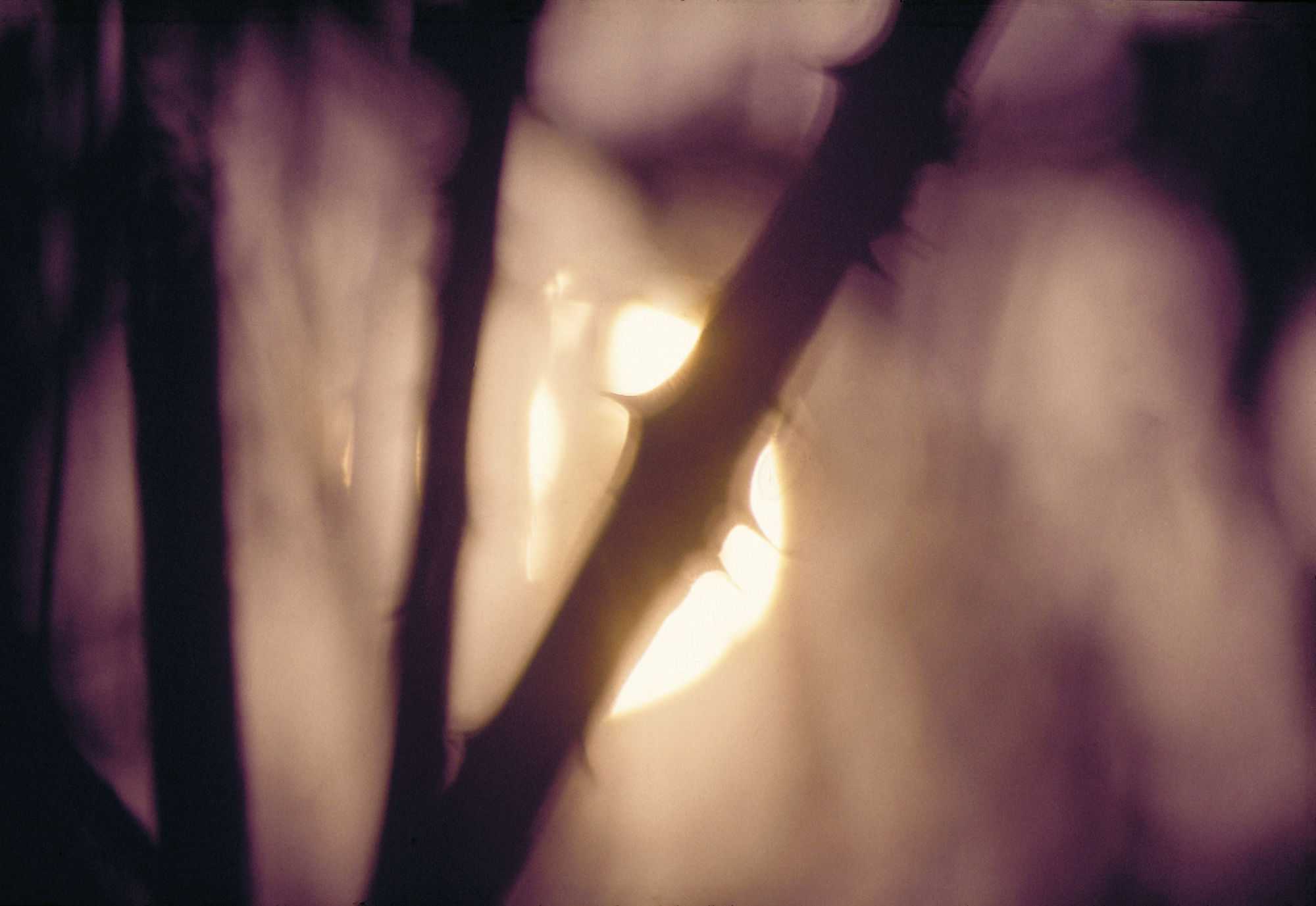 JOHN BLAKEMORE Sun series