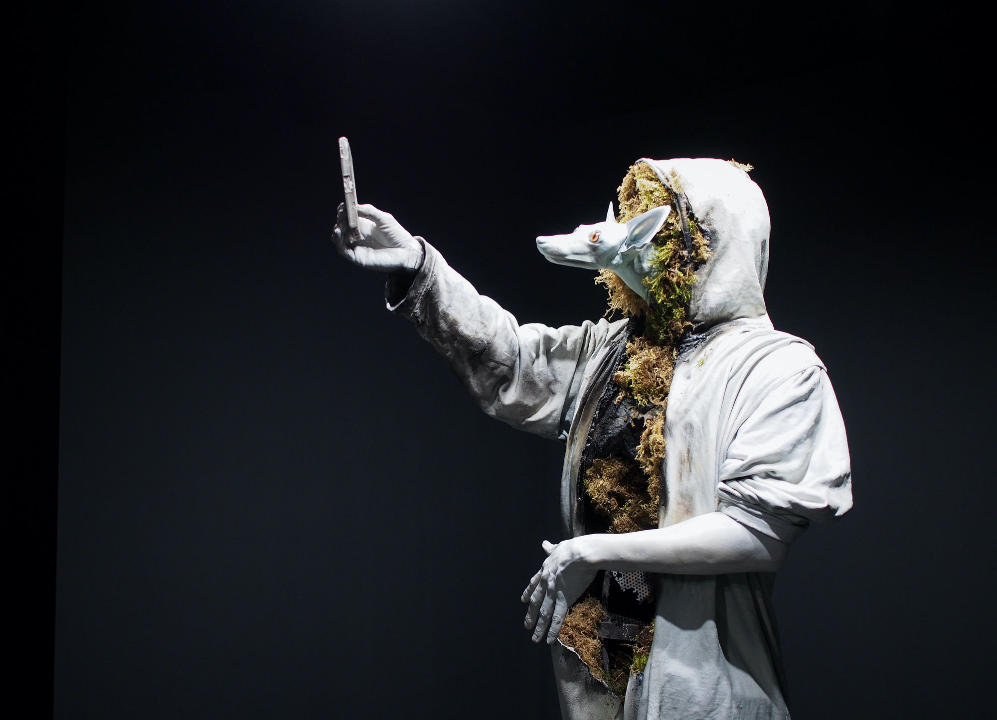 Life in the Lonely Wood