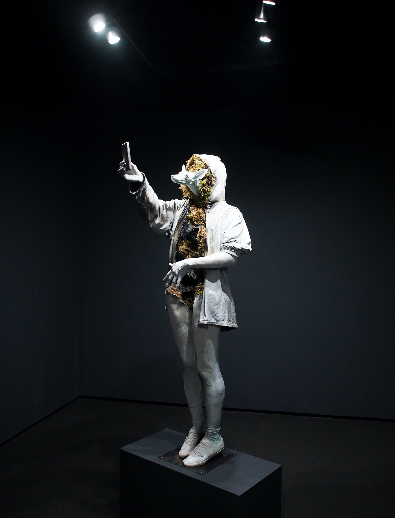 Life in the Lonely Wood