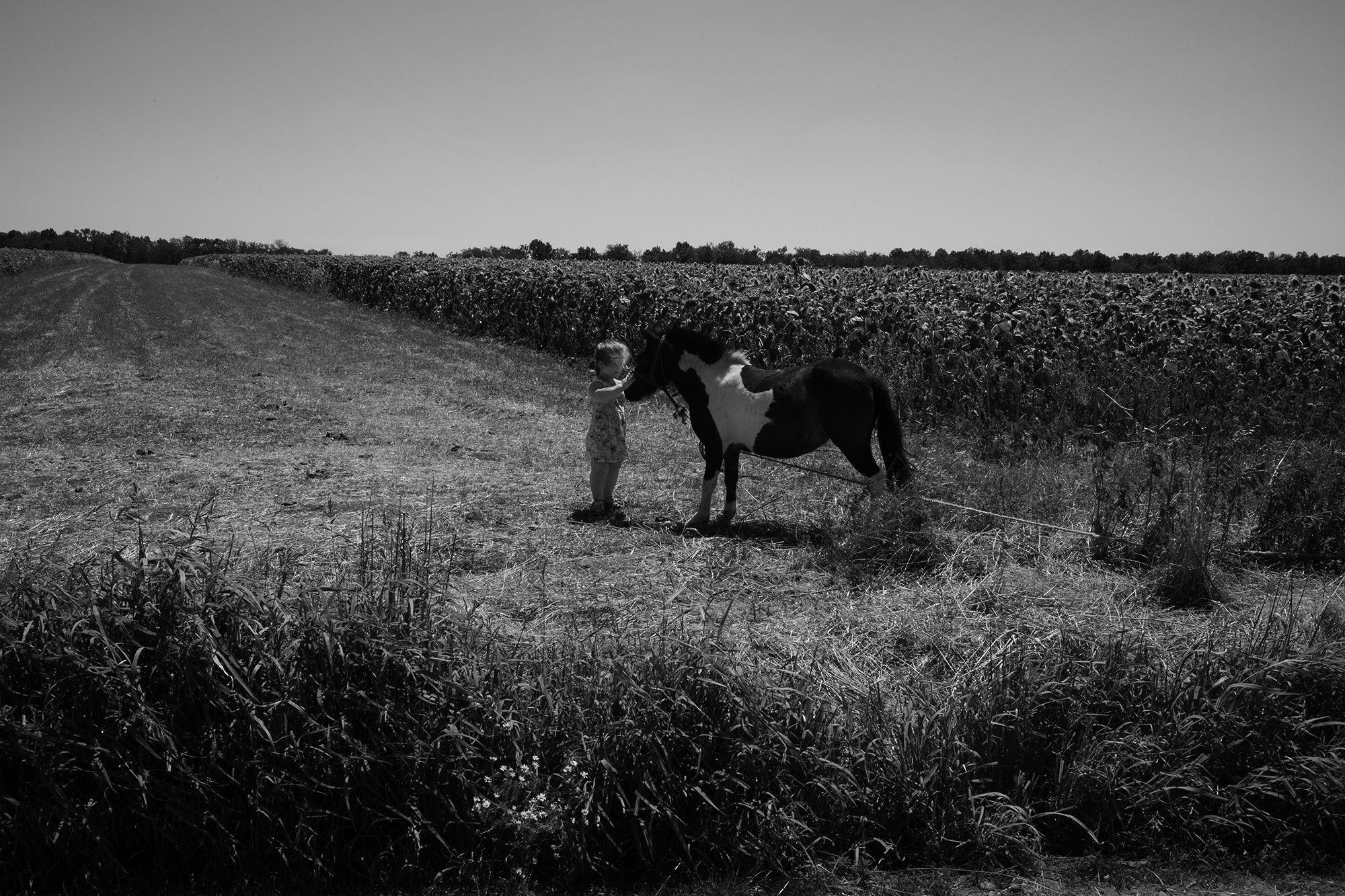 WALKING ON THE SAME EARTH AS YOU